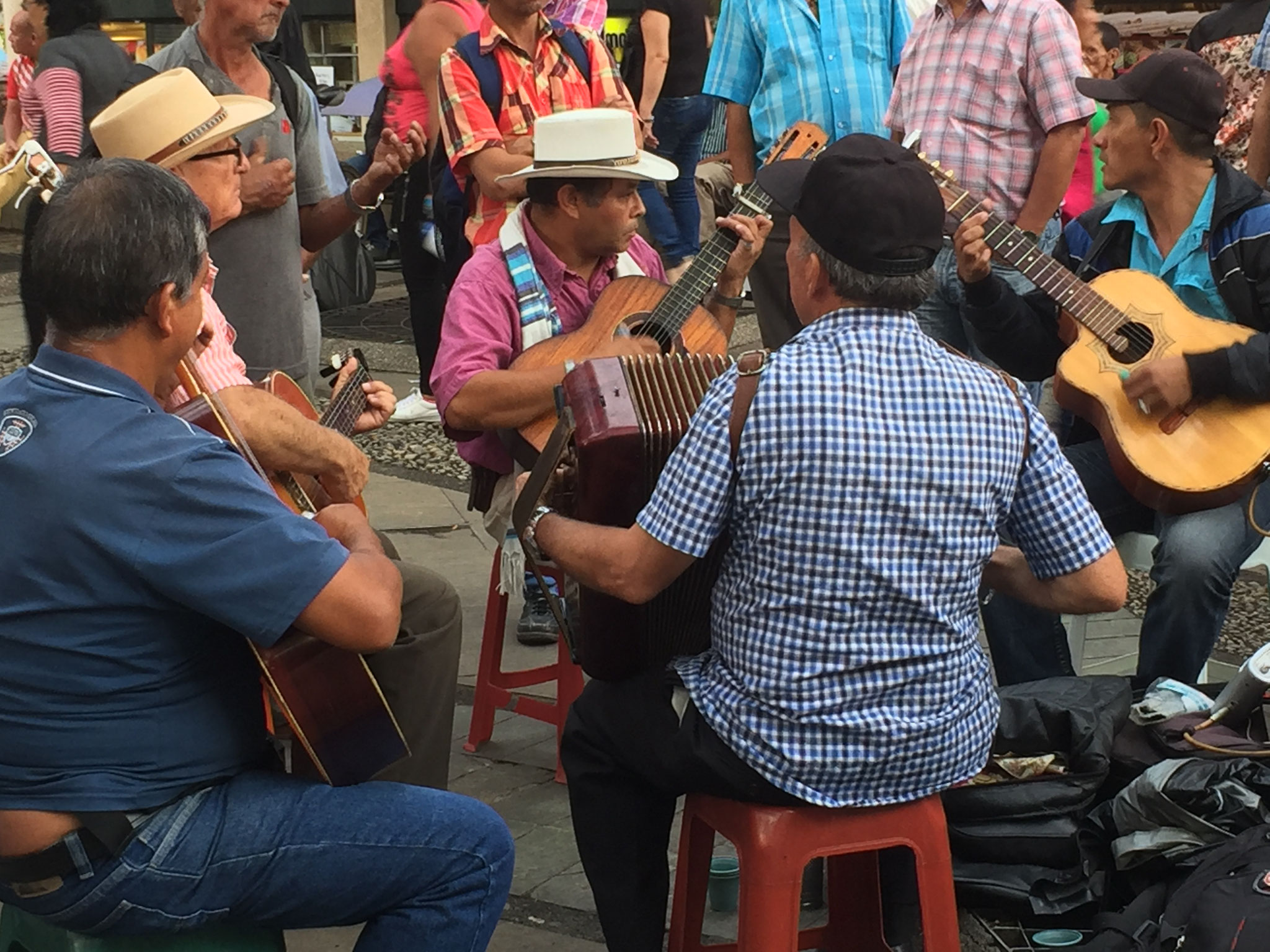 Musik in einem Park