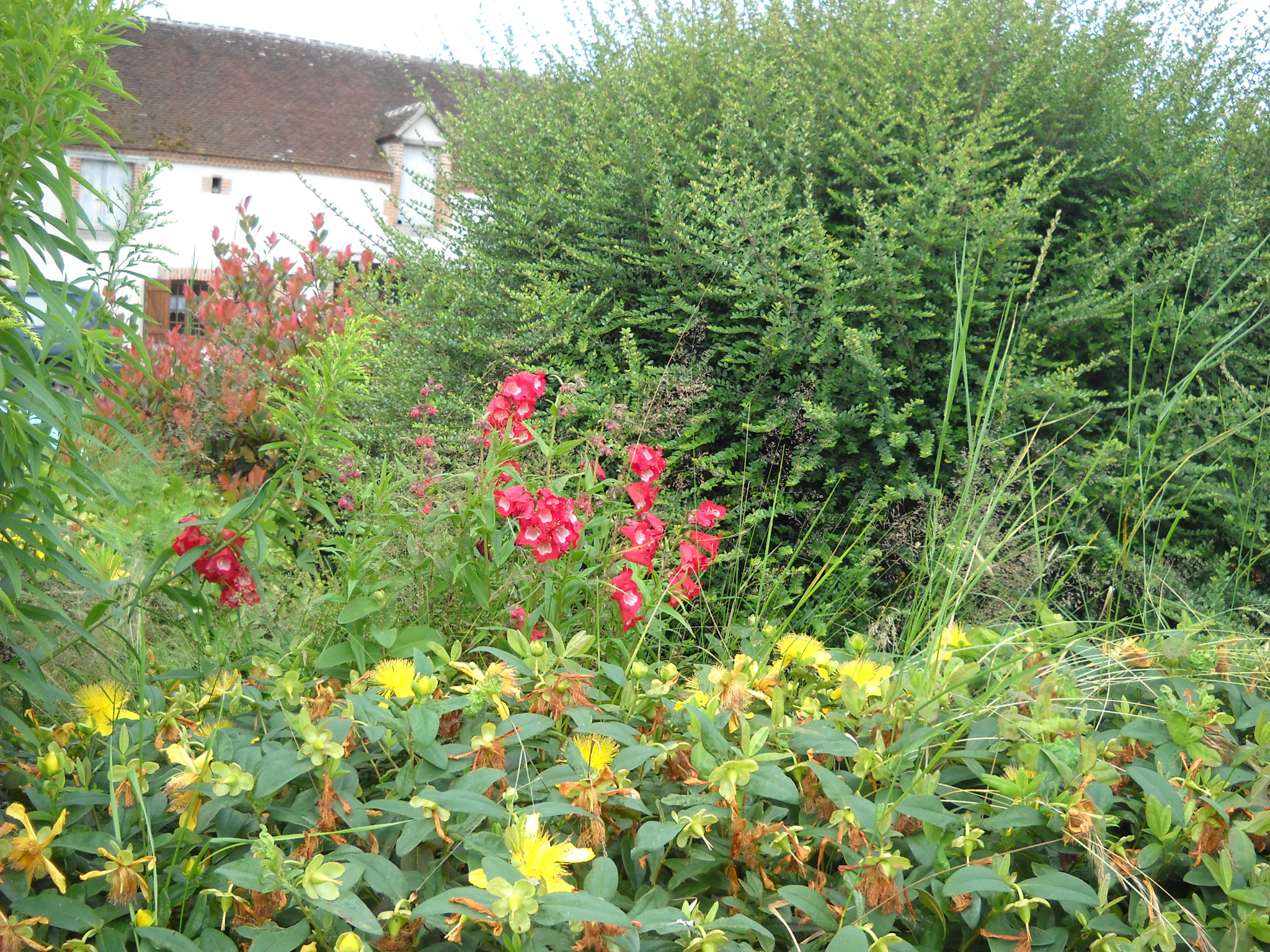 Jardin paysager gîtes des Barres