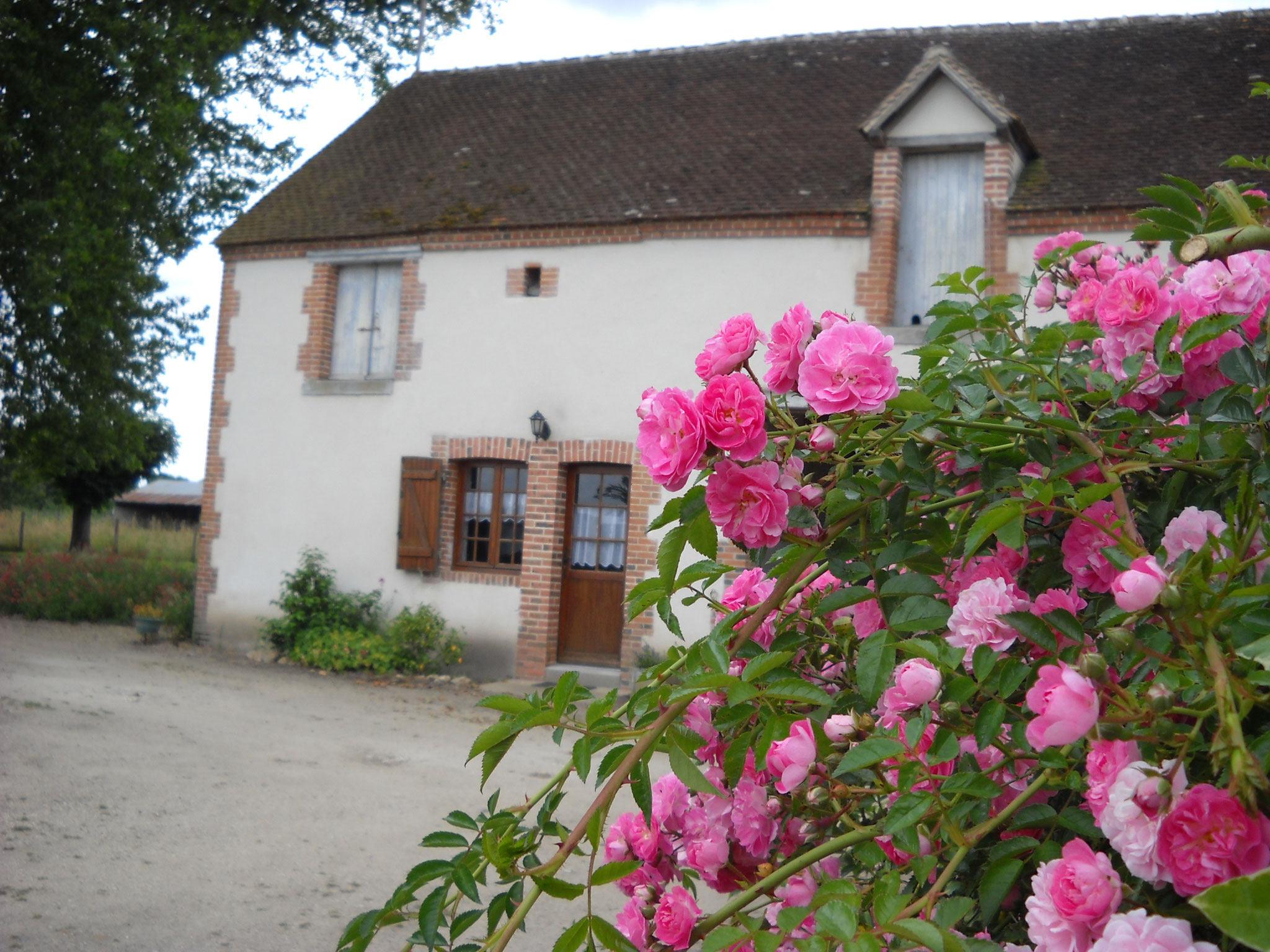 Gîte Chèvrerie