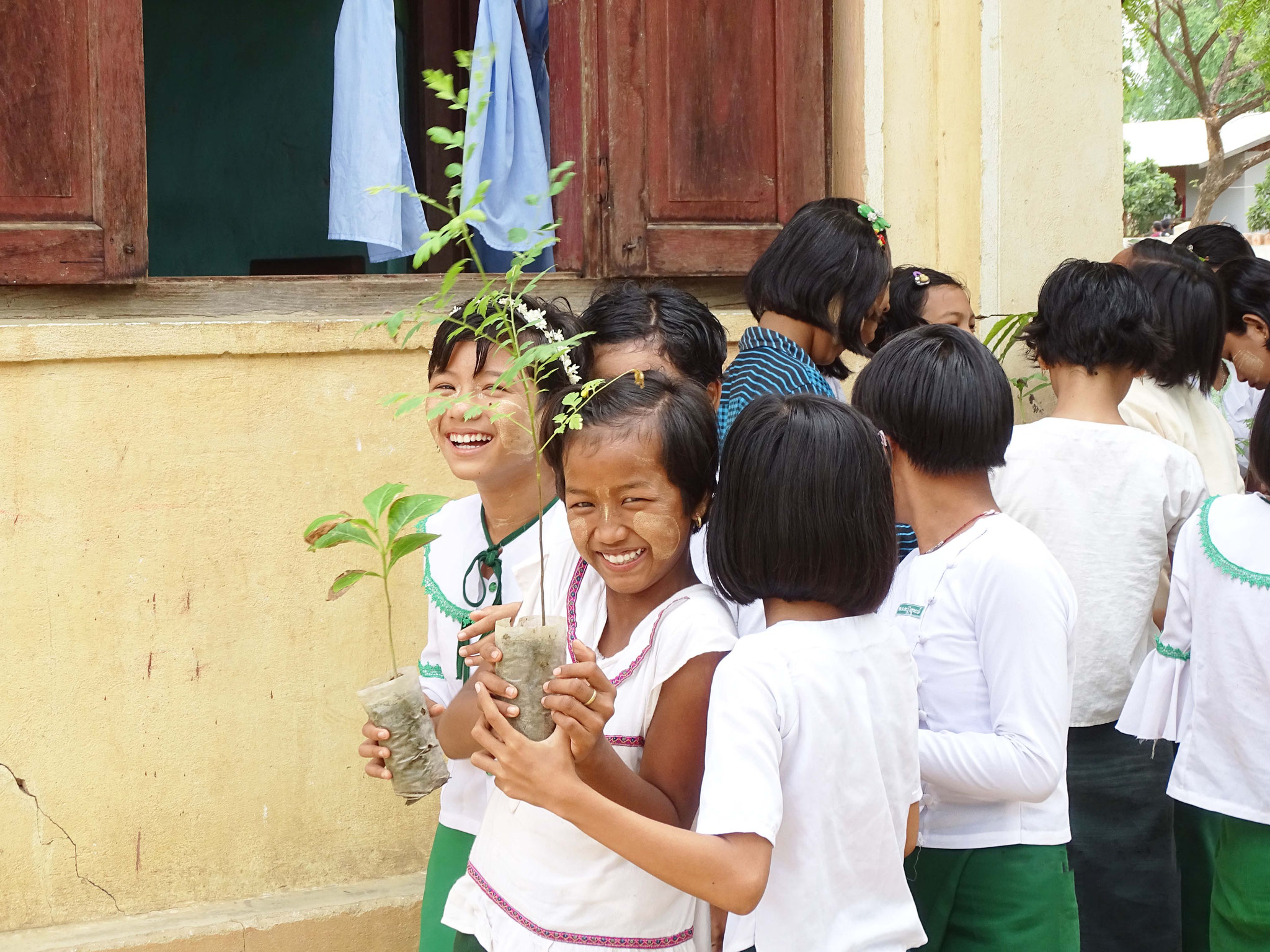 ミャンマー オイスカ 子供の森 計画 緑の地球を世界の子供たちとともに