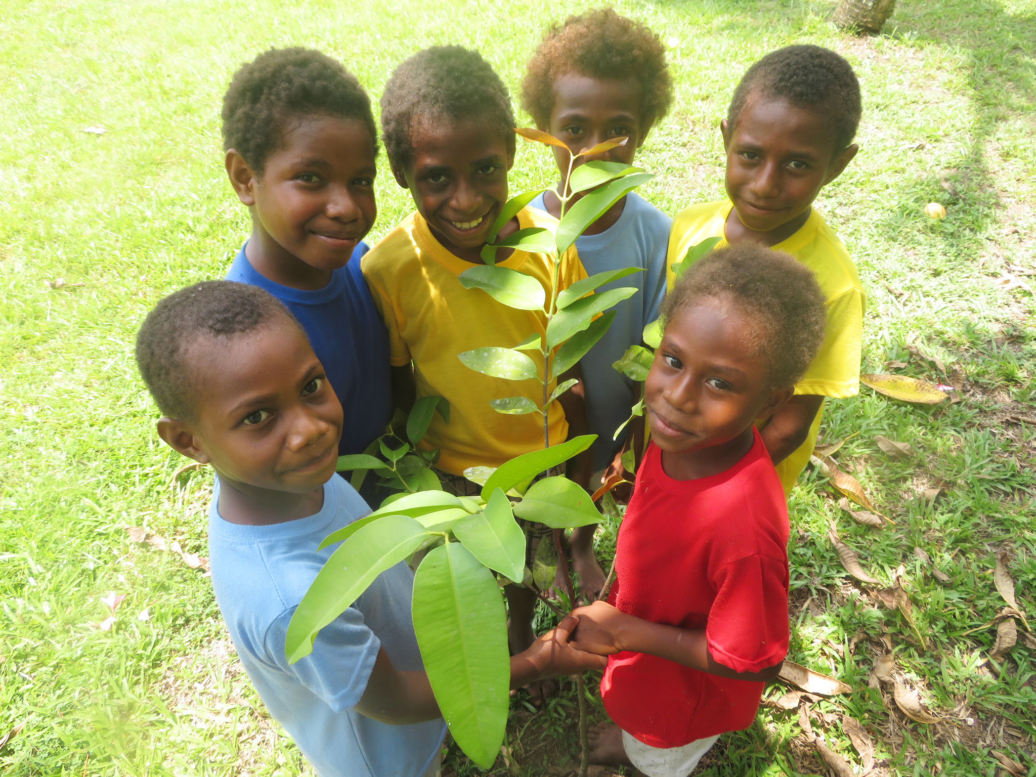 パプアニューギニア オイスカ 子供の森 計画 緑の地球を世界の子供たちとともに