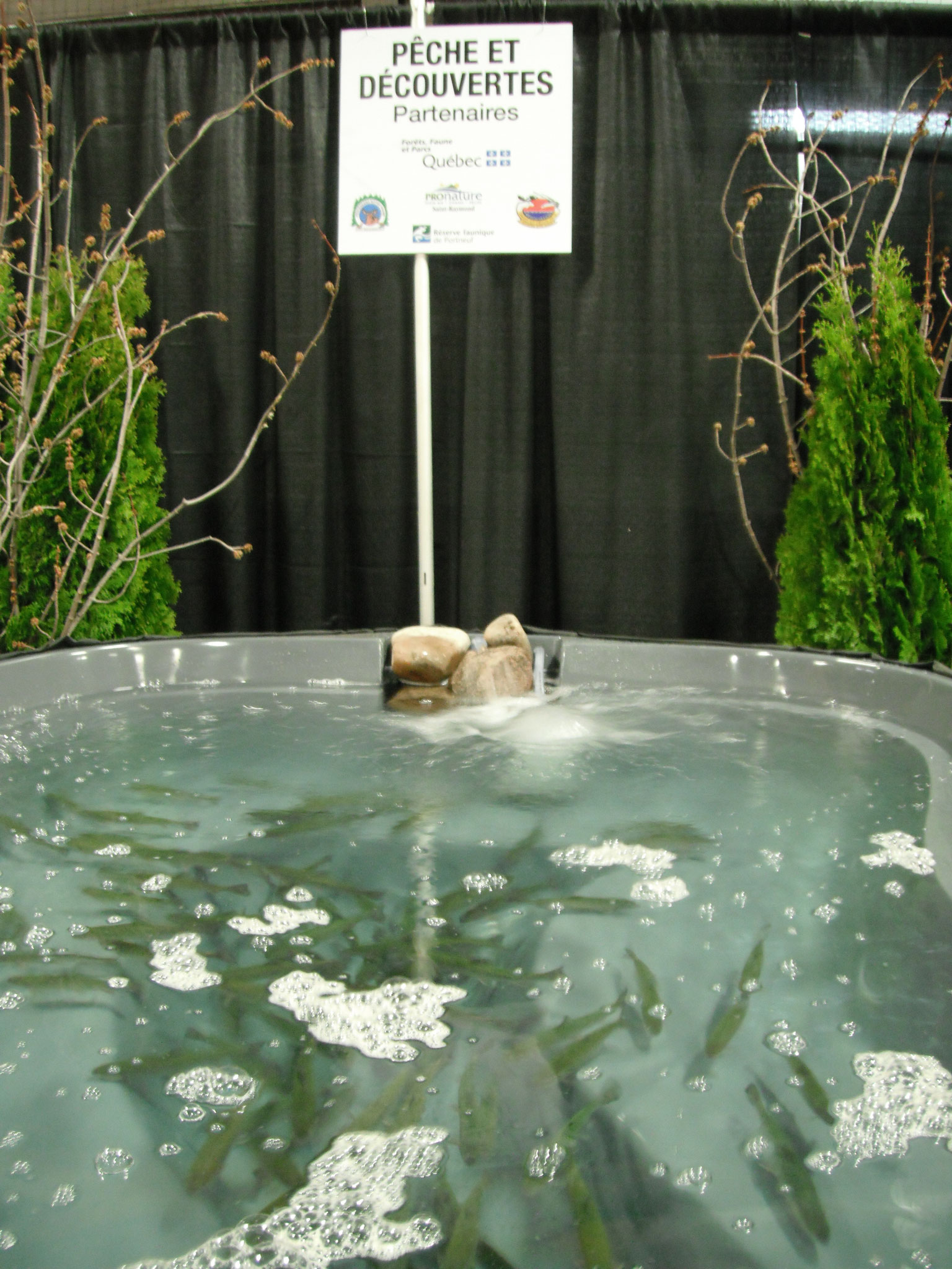 Bassin de pêche, Salon Nature Portneuf 2016