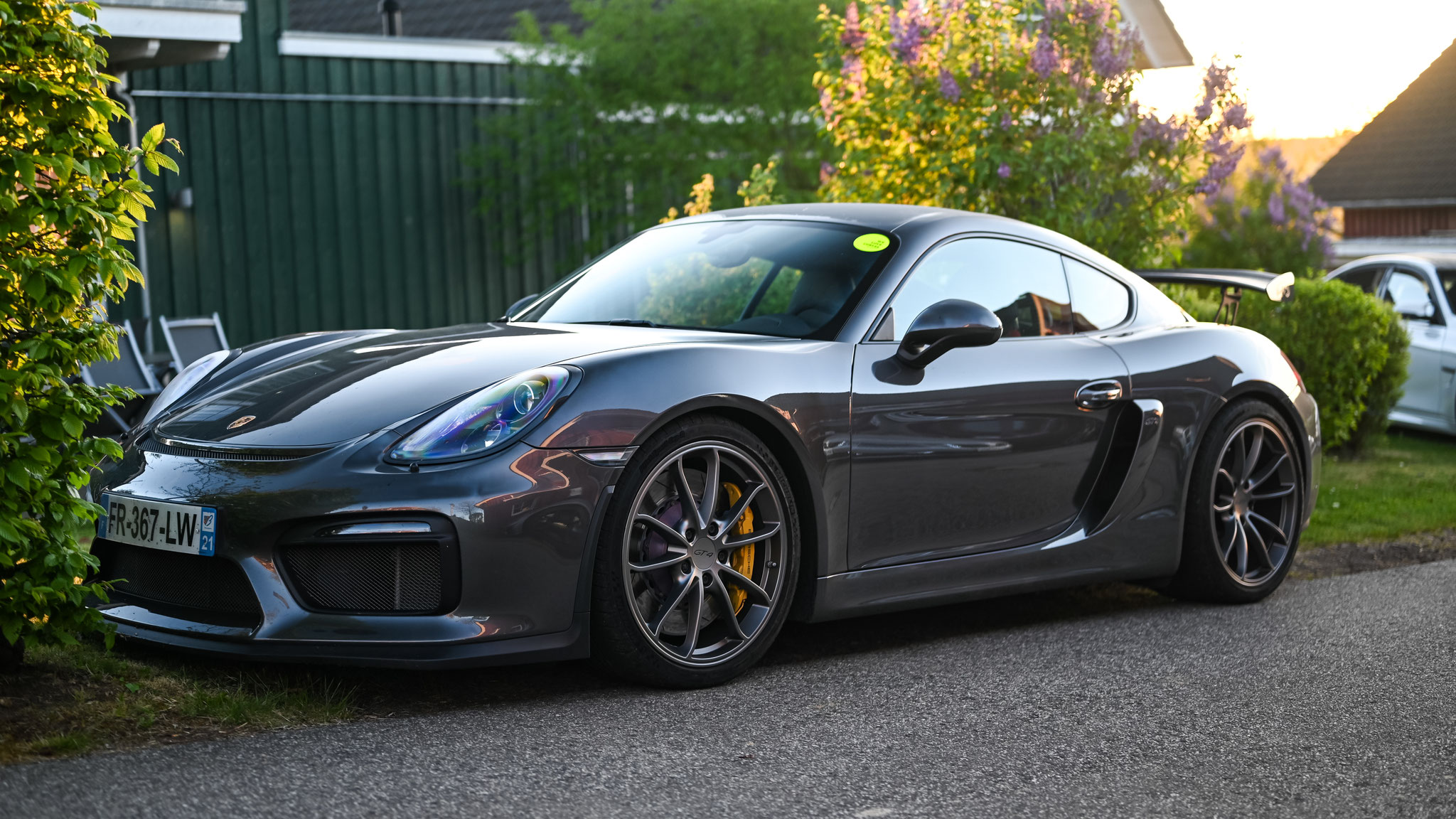 Porsche Cayman GT4 - FR367LW-21 (FRA)