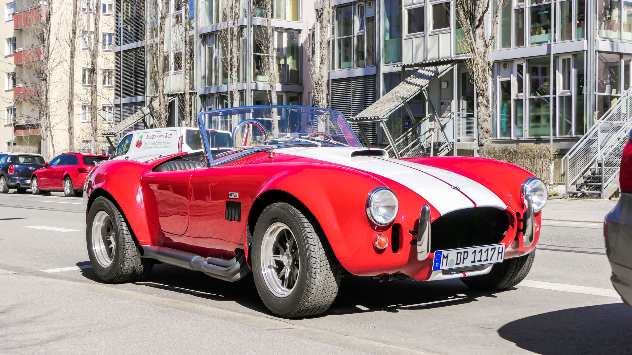 Cobra - M-DP1117H