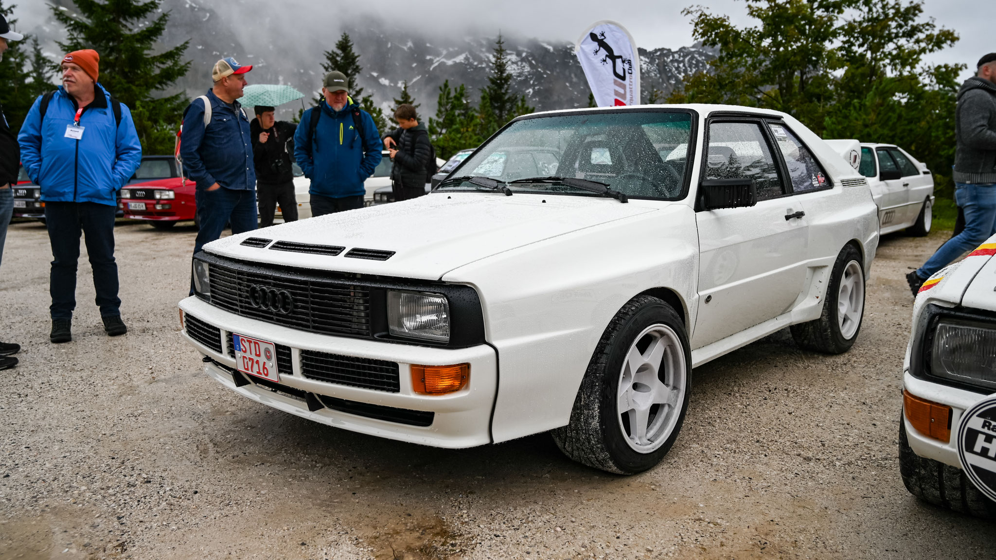 Audi Sport quattro - STD-0716
