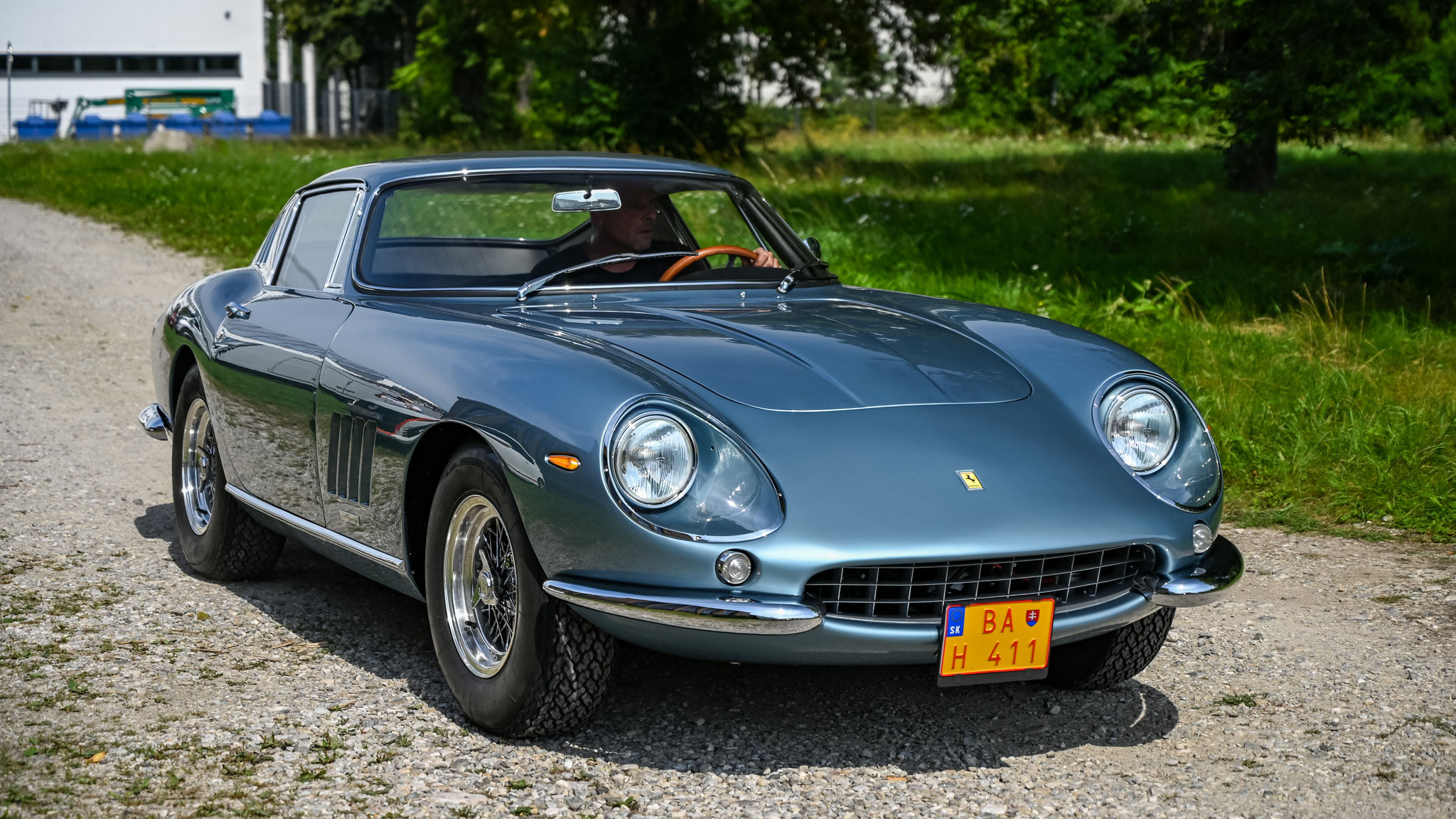 Ferrari 275 GTB - BAH411 (SK)