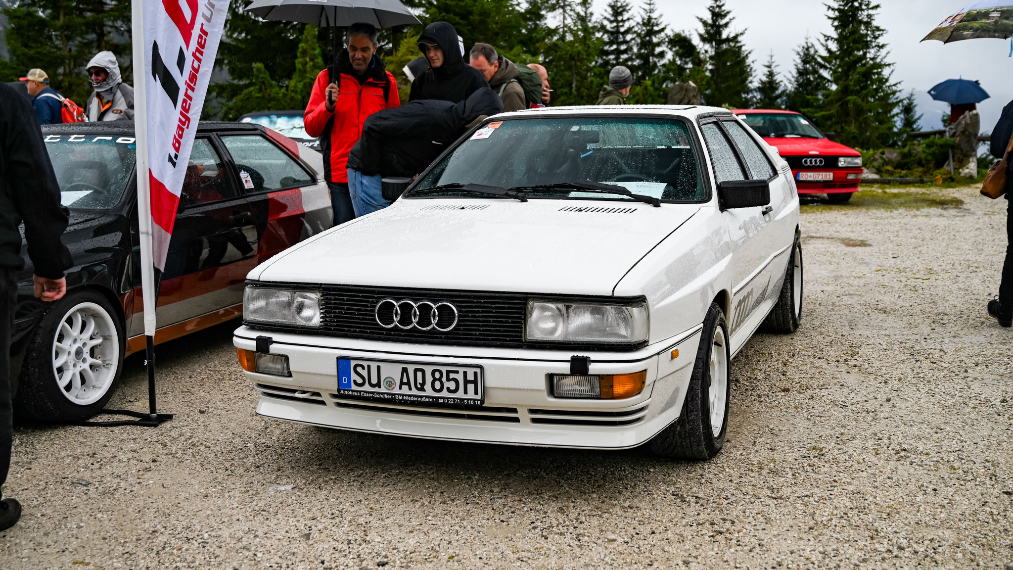 Audi Sport quattro - SU-AQ85H