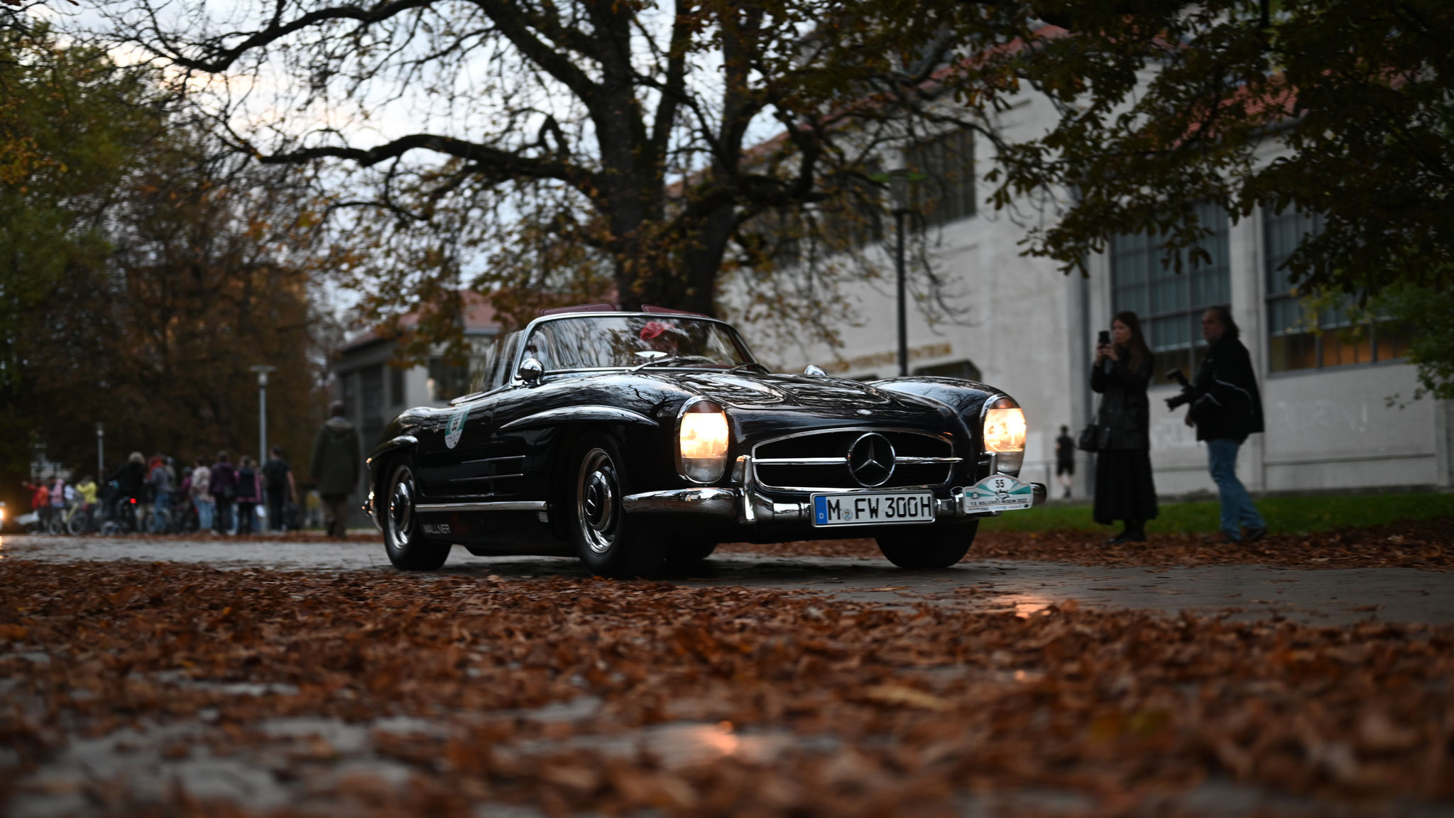 Mercedes 300SL Roadster - M-FW300H