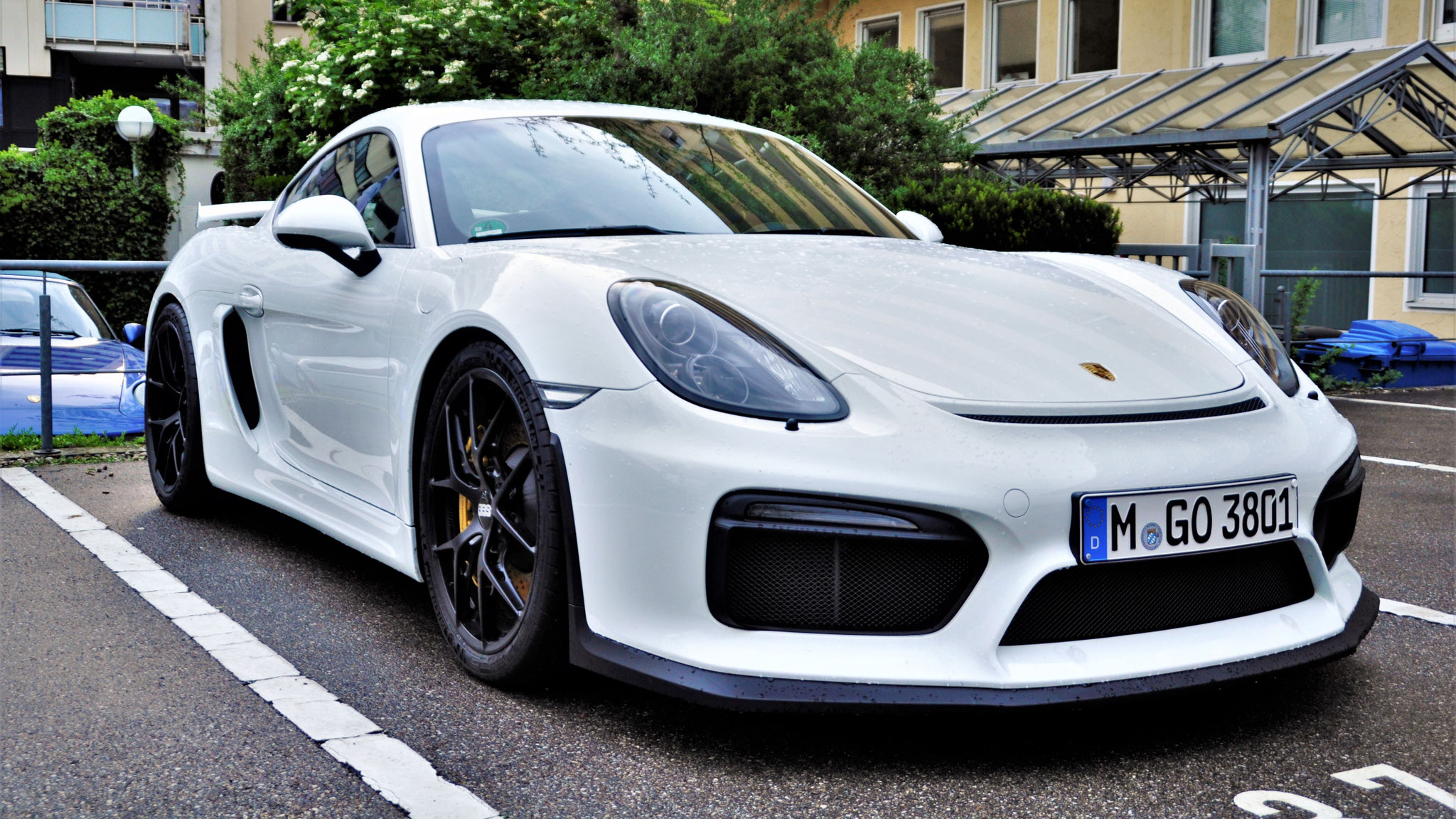 Porsche Cayman GT4 - M-GO3801
