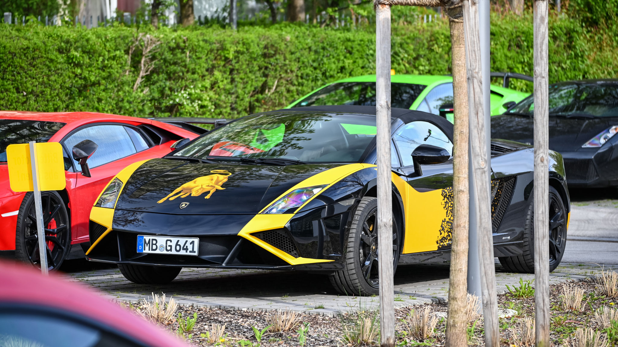 Lamborghini Gallardo Spyder - MG-G641
