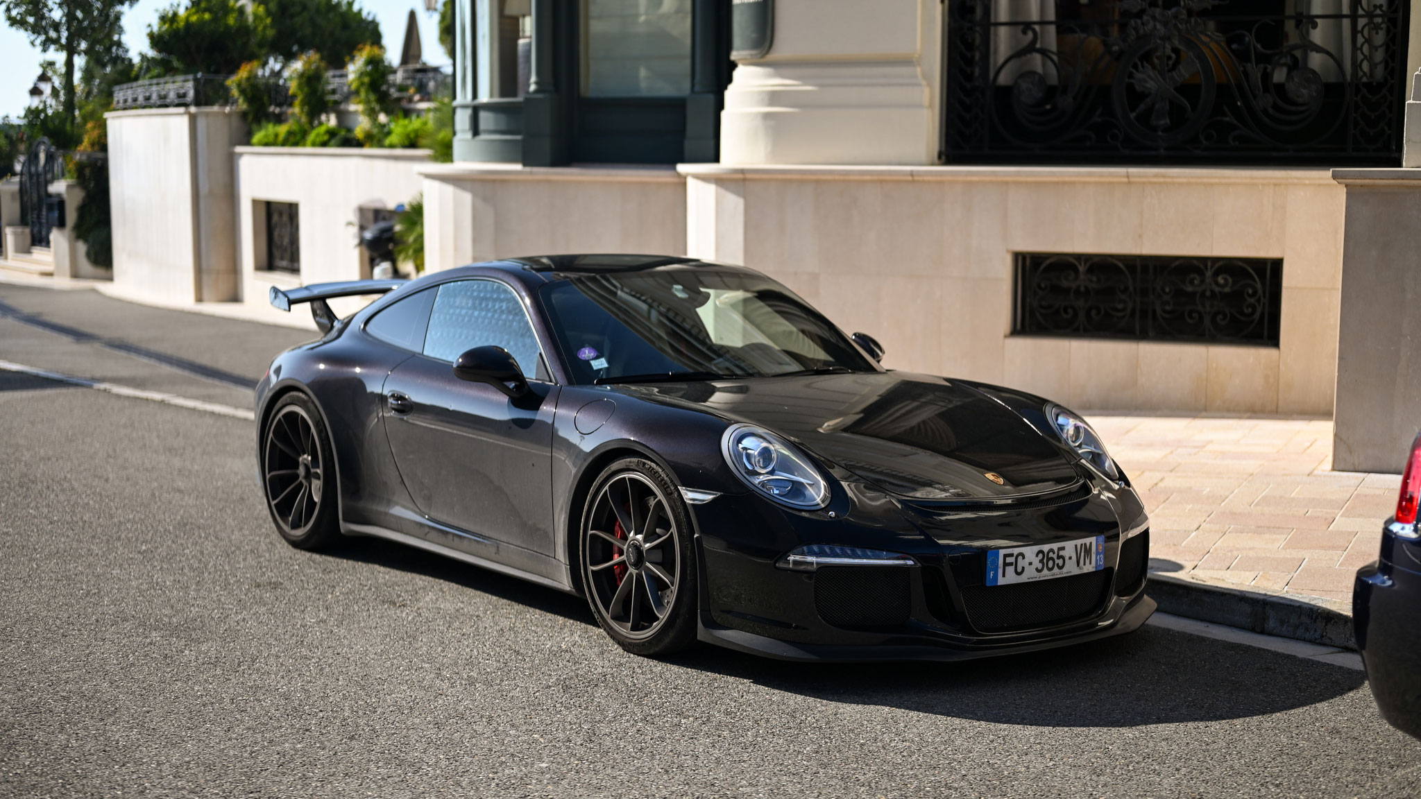Porsche 991 GT3 - FC365VW-13 (FRA)
