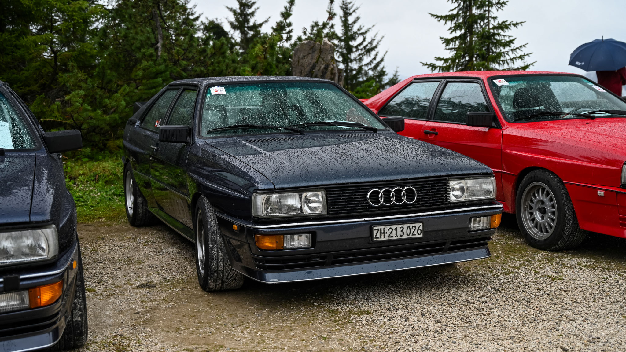 Audi quattro - ZH213026  (CH)