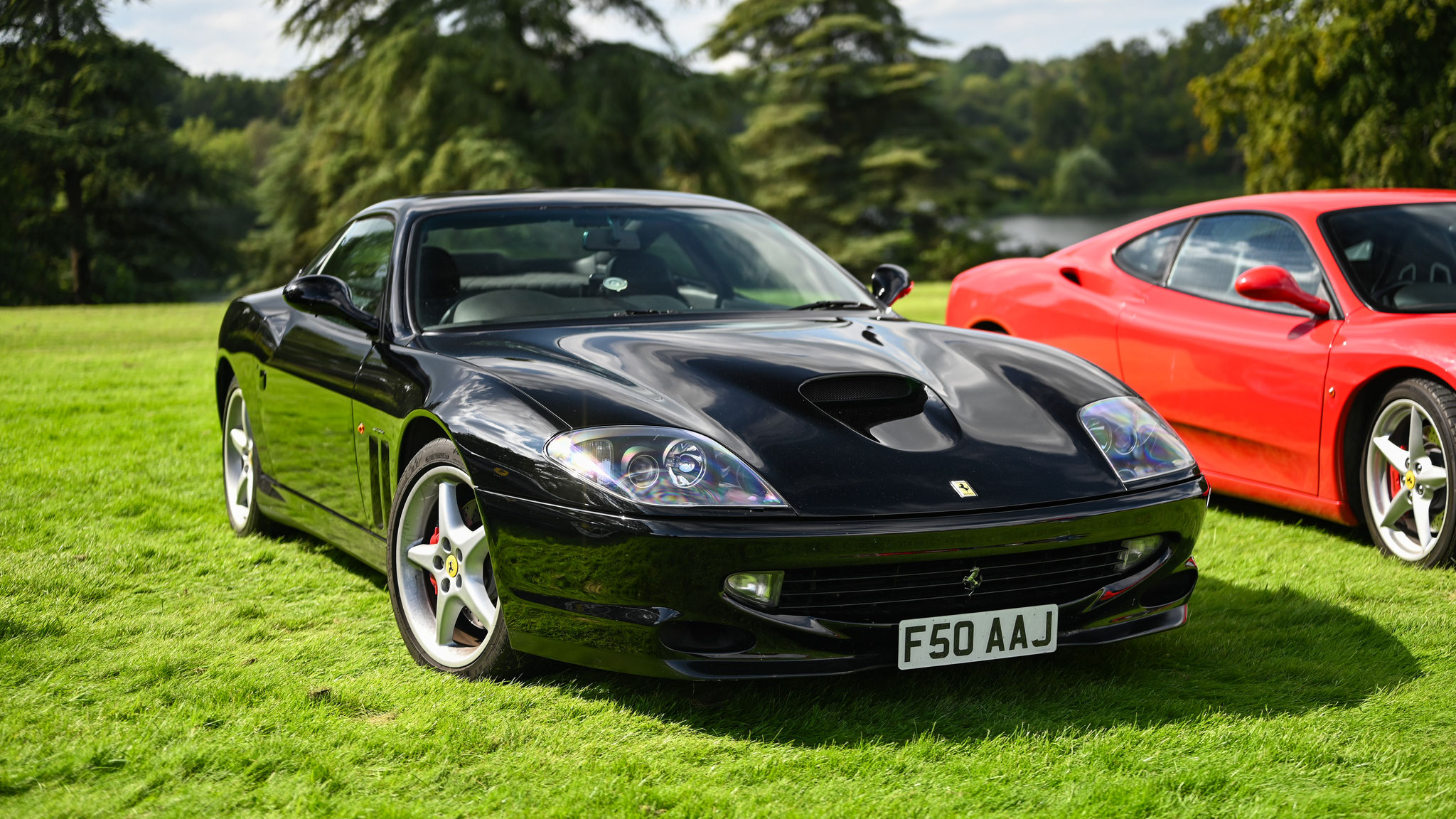 Ferrari 550 Maranello - F50AAJ (GB)