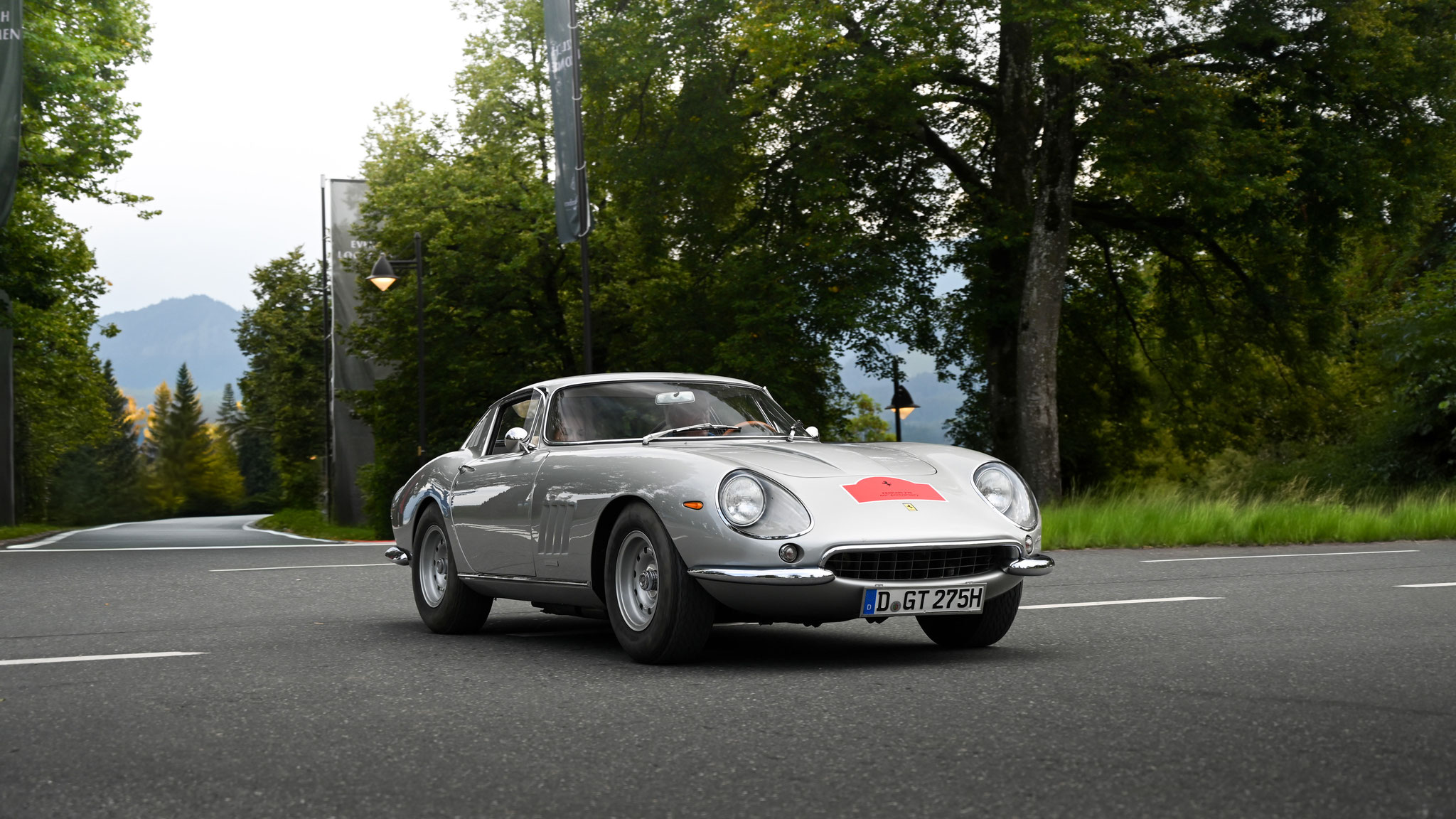 Ferrari 275 GTB Alloy - D-GT275H
