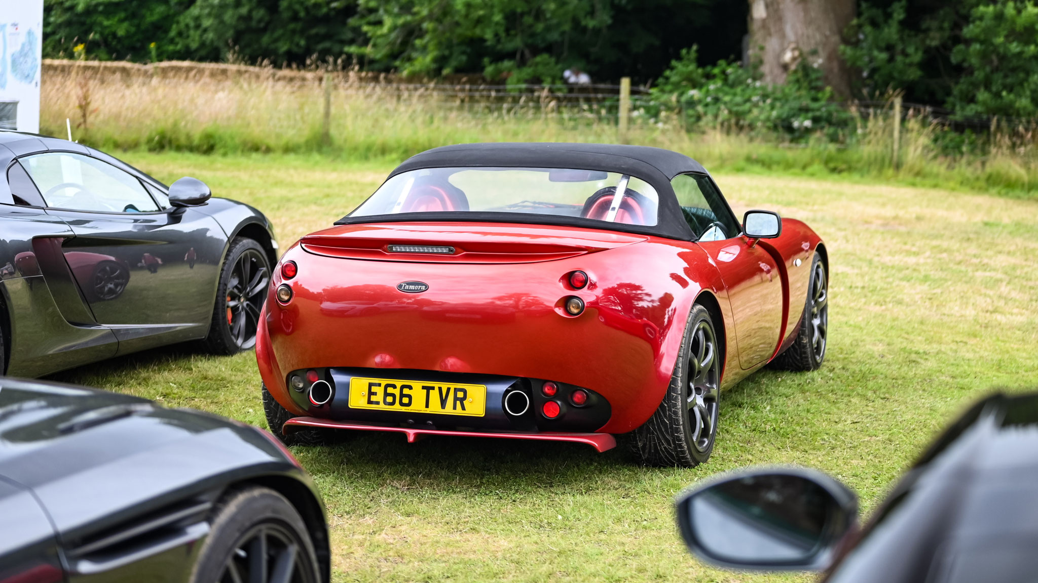 TVR Tamora - E66TVR (GB)