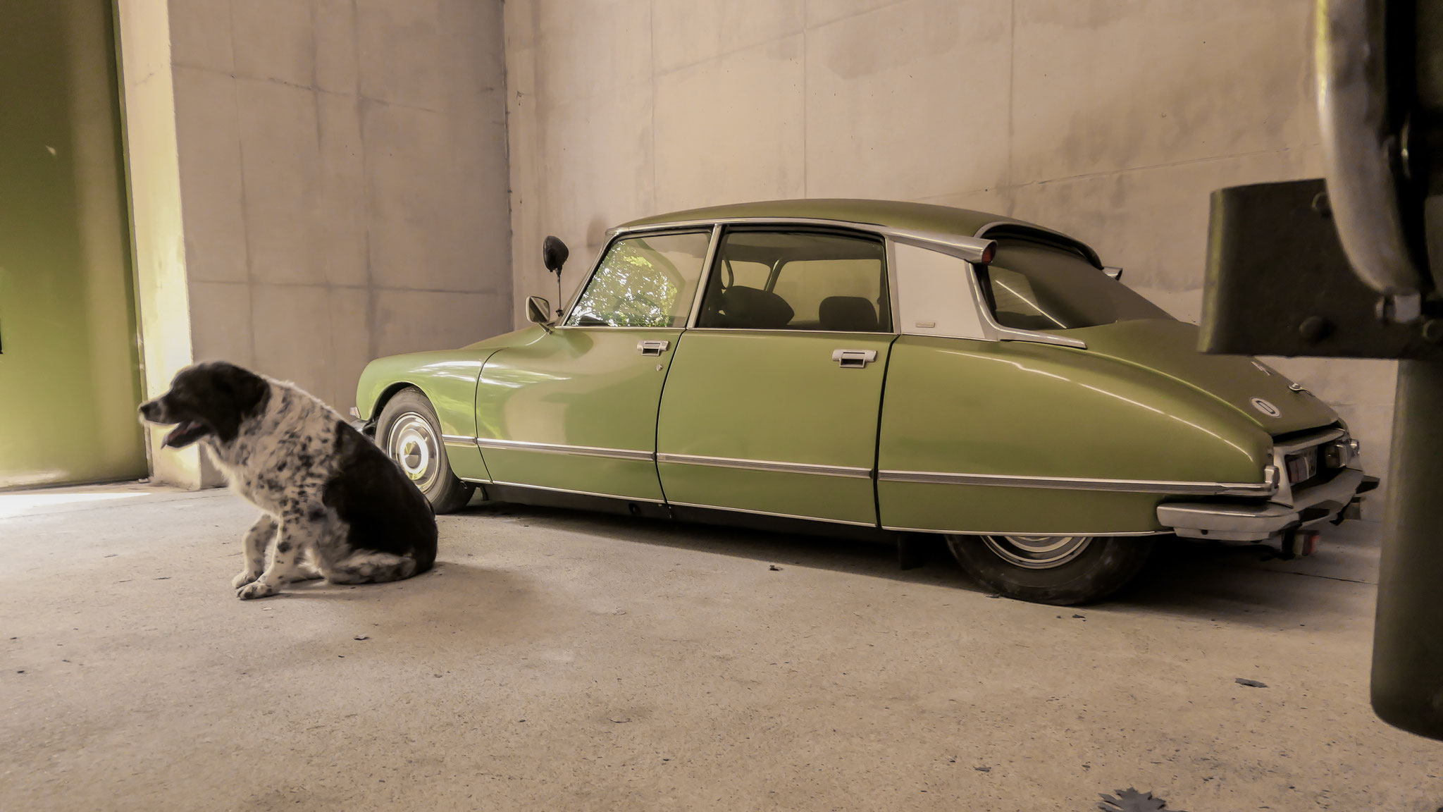 Citroen DS - FS-DS240