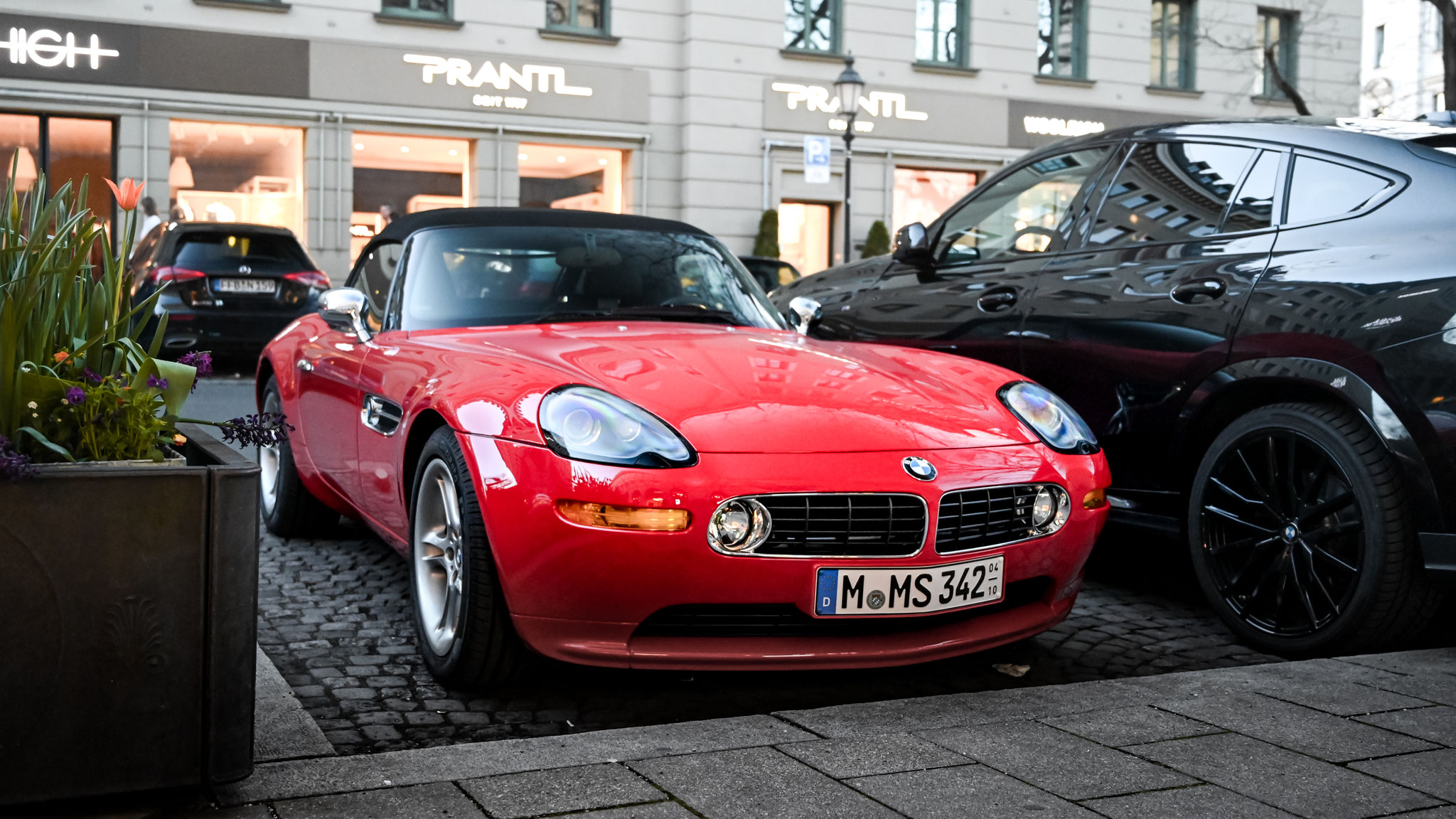 BMW Z8 - M-MS342