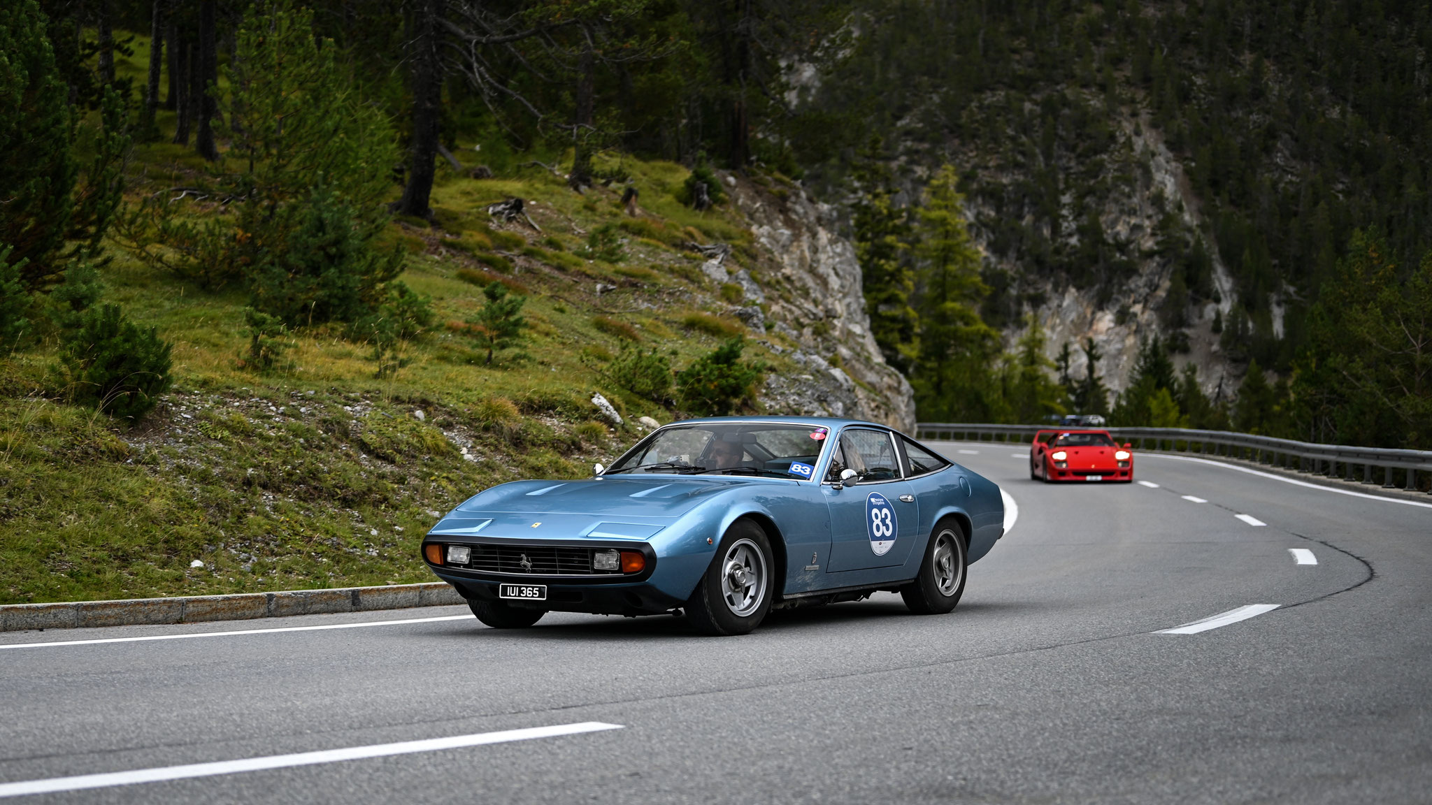 Ferrari 365 GTC4 - IUI365 (GB)