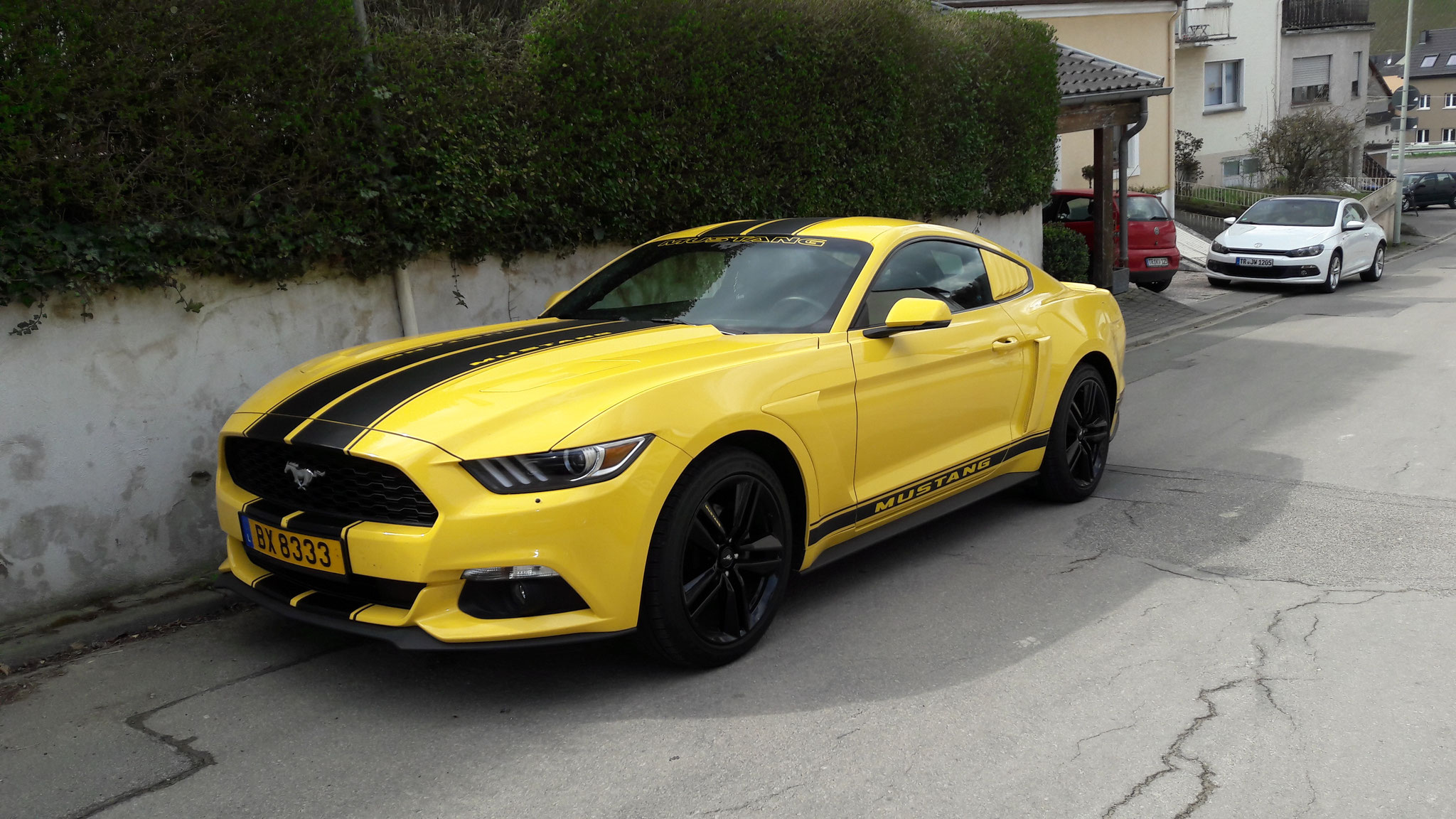 Ford Mustang GT - BX8333 (LUX)
