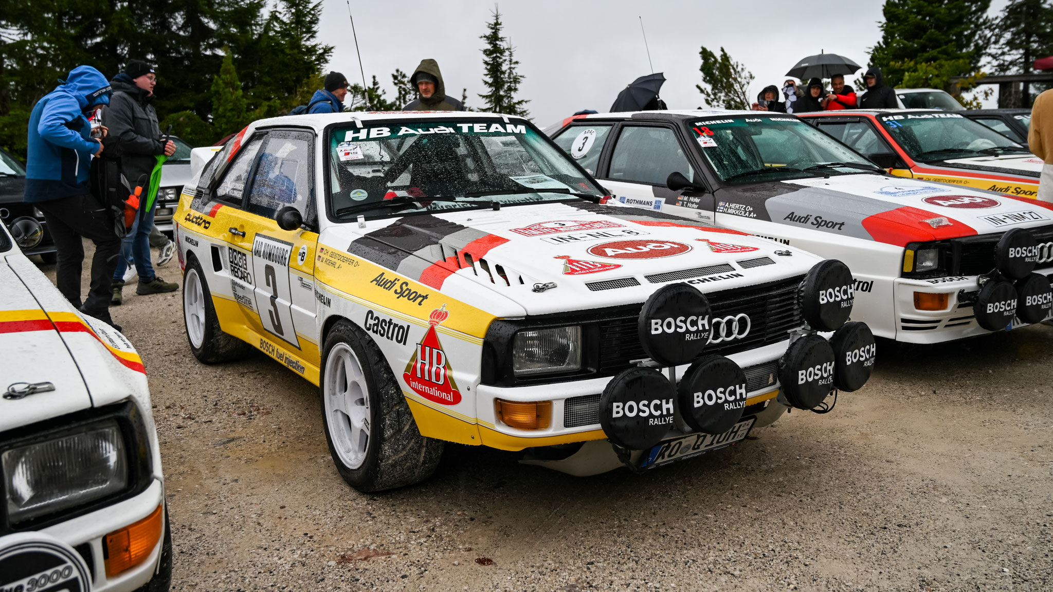 Audi Sport quattro - RO-Q10H