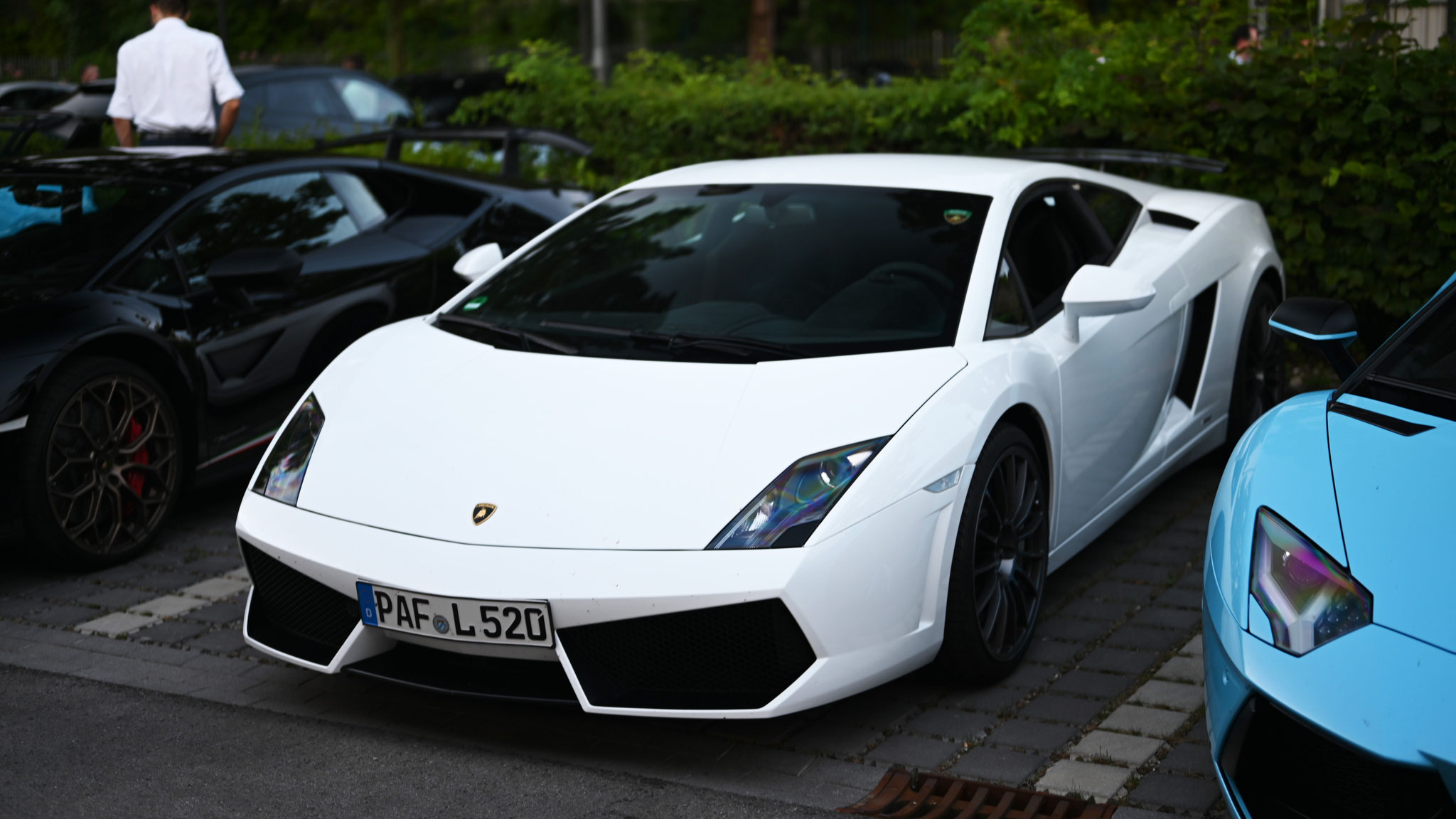 Lamborghini Gallardo 50 Edizione Limitata - PAF-L520