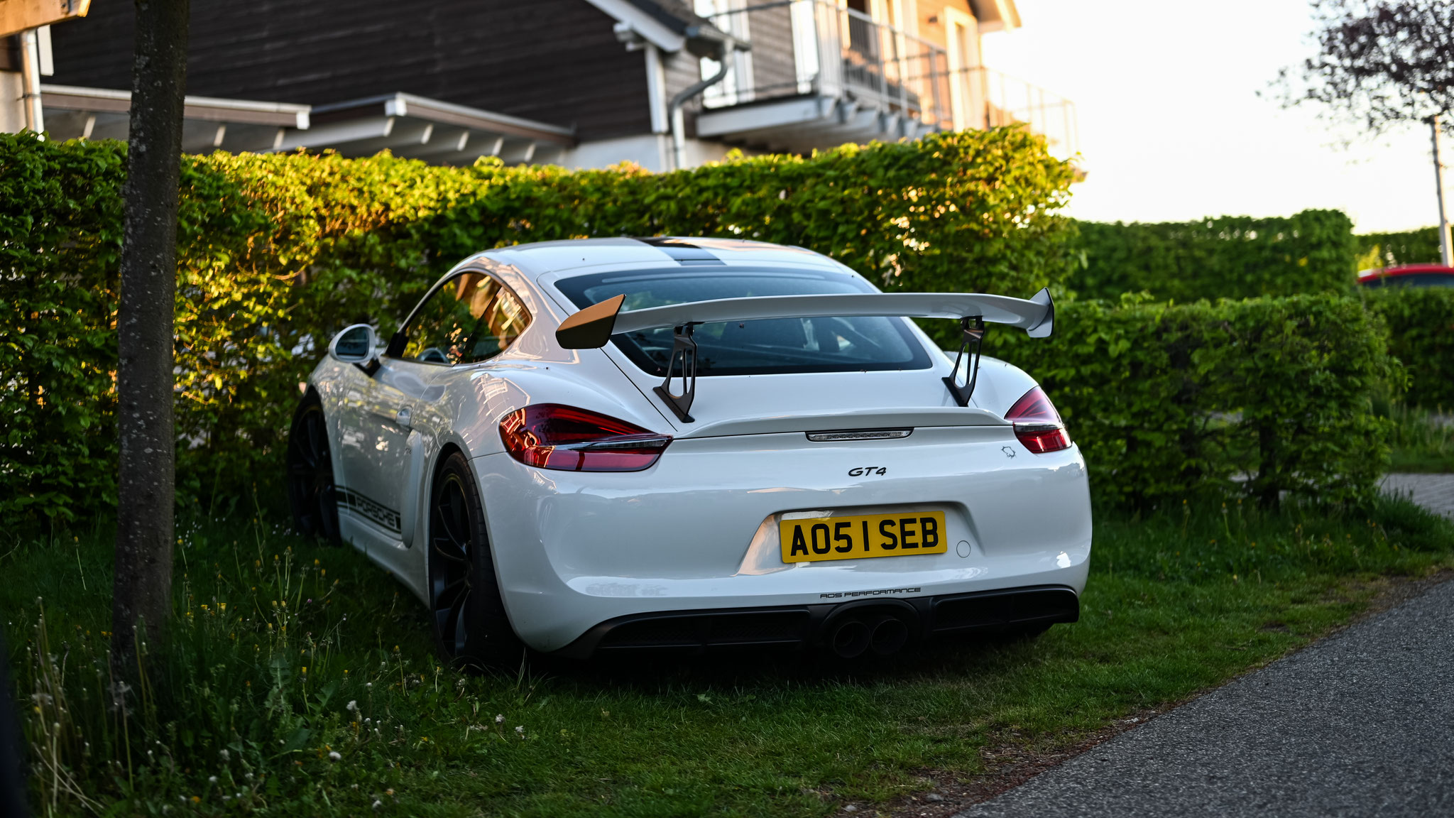 Porsche Cayman GT4 - AO51SEB (GB)