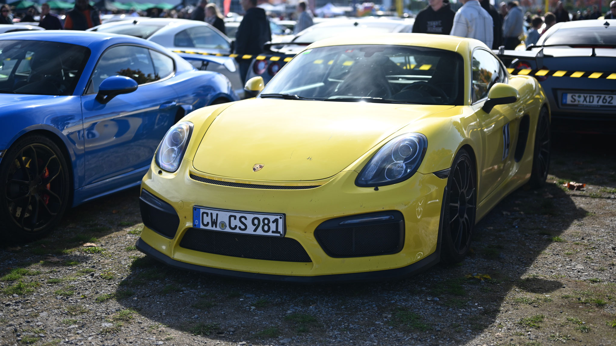 Porsche Cayman GT4 - CW-CS981