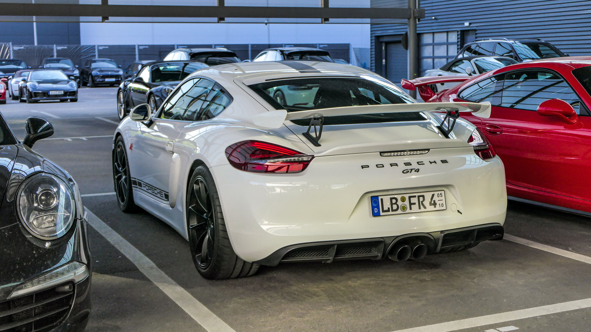 Porsche Cayman GT4 - LB-FR4