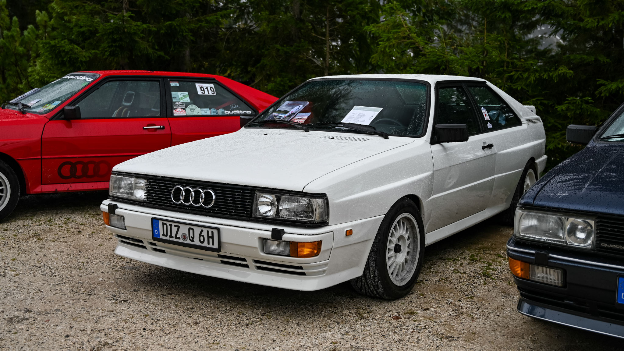 Audi quattro - DIZ-Q6H