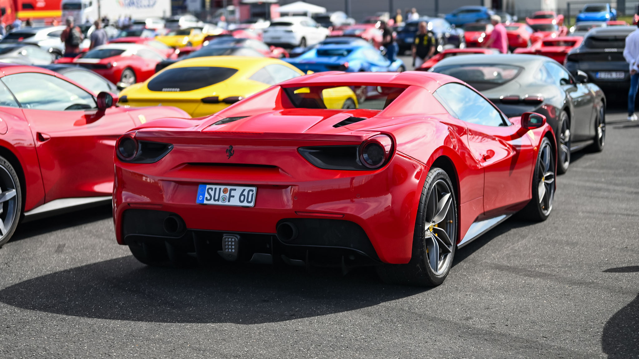 Ferrari 488 Spider - SU-F60