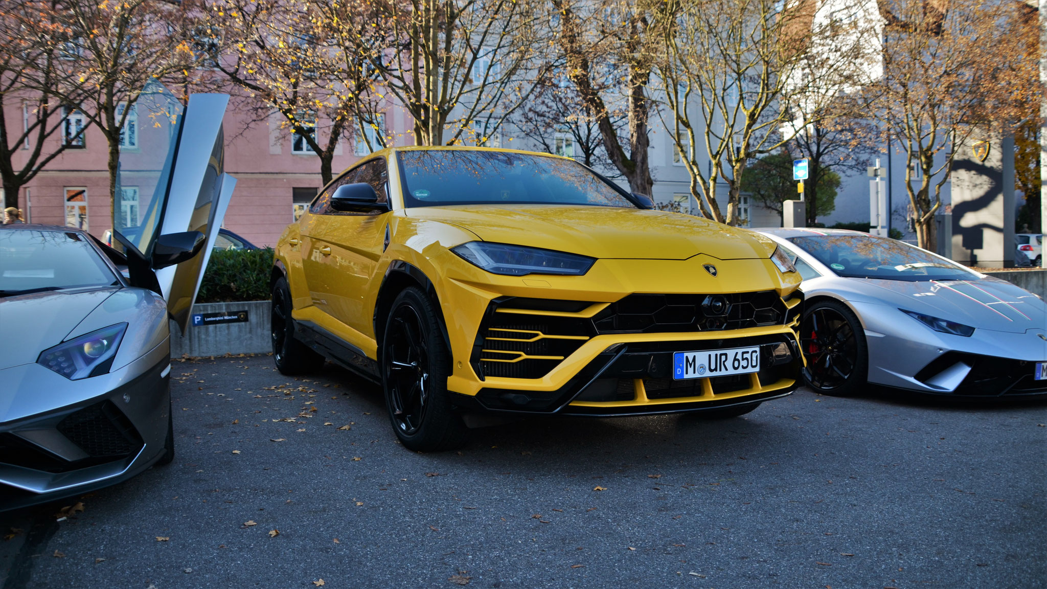 Lamborghini Urus - M-UR650