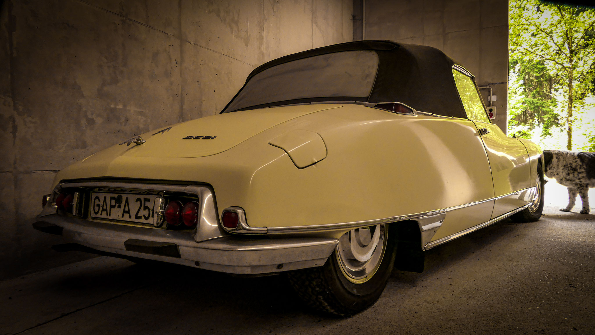 Citroen DS Cabrio - GAP-A254