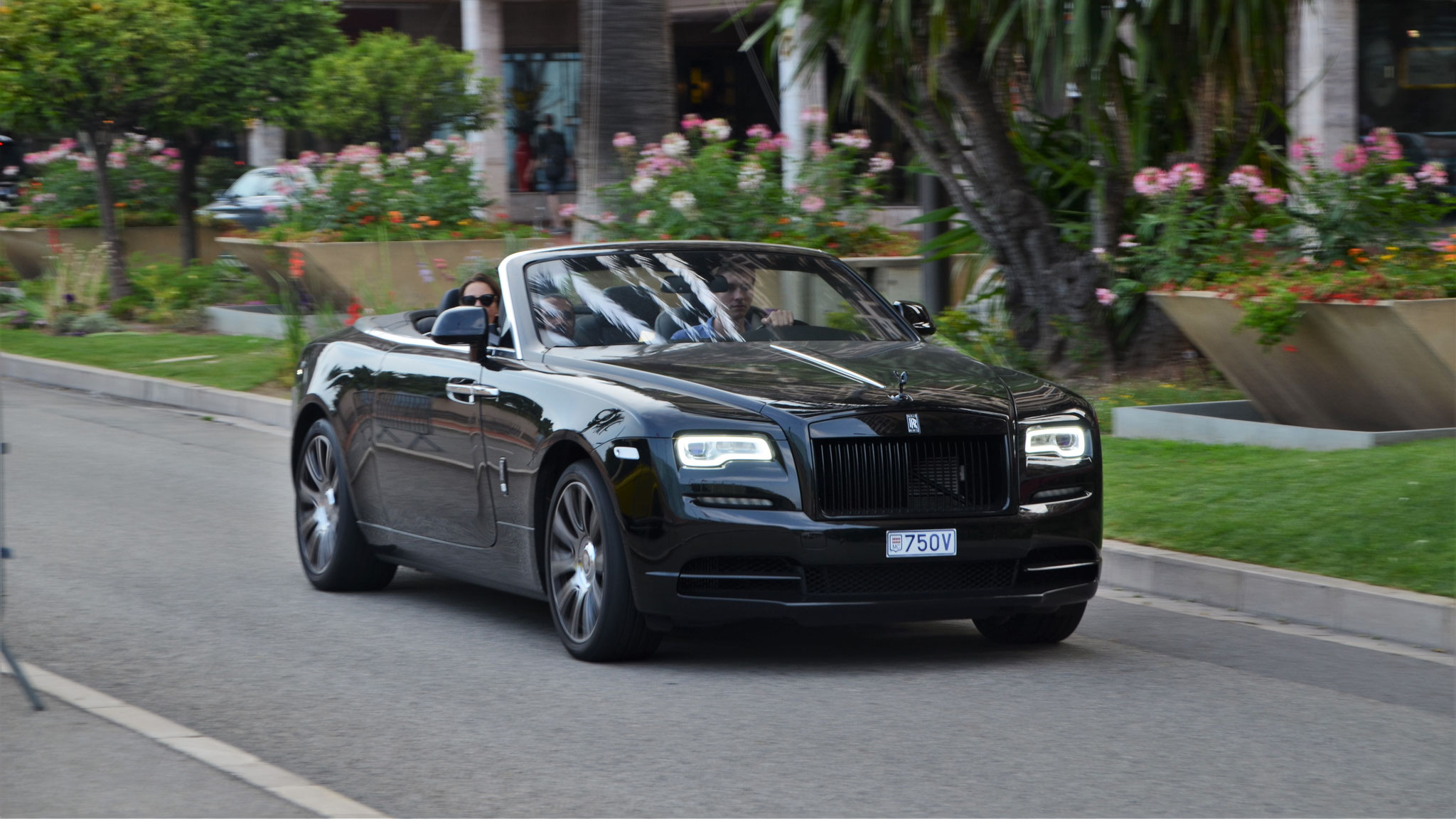 Rolls Royce Dawn - 750V (MC)