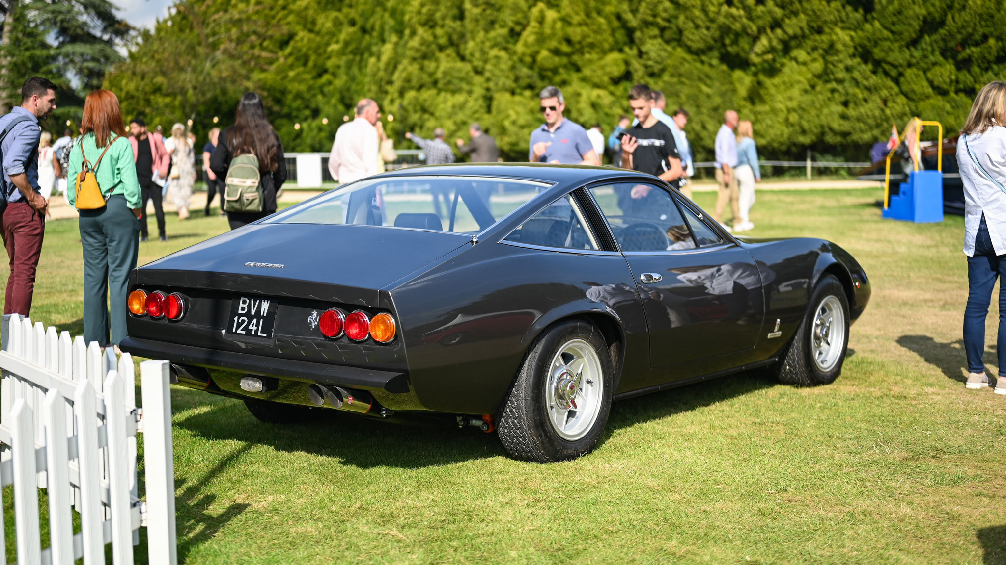 Ferrari 365 GTC4 - BVW124L (GB)