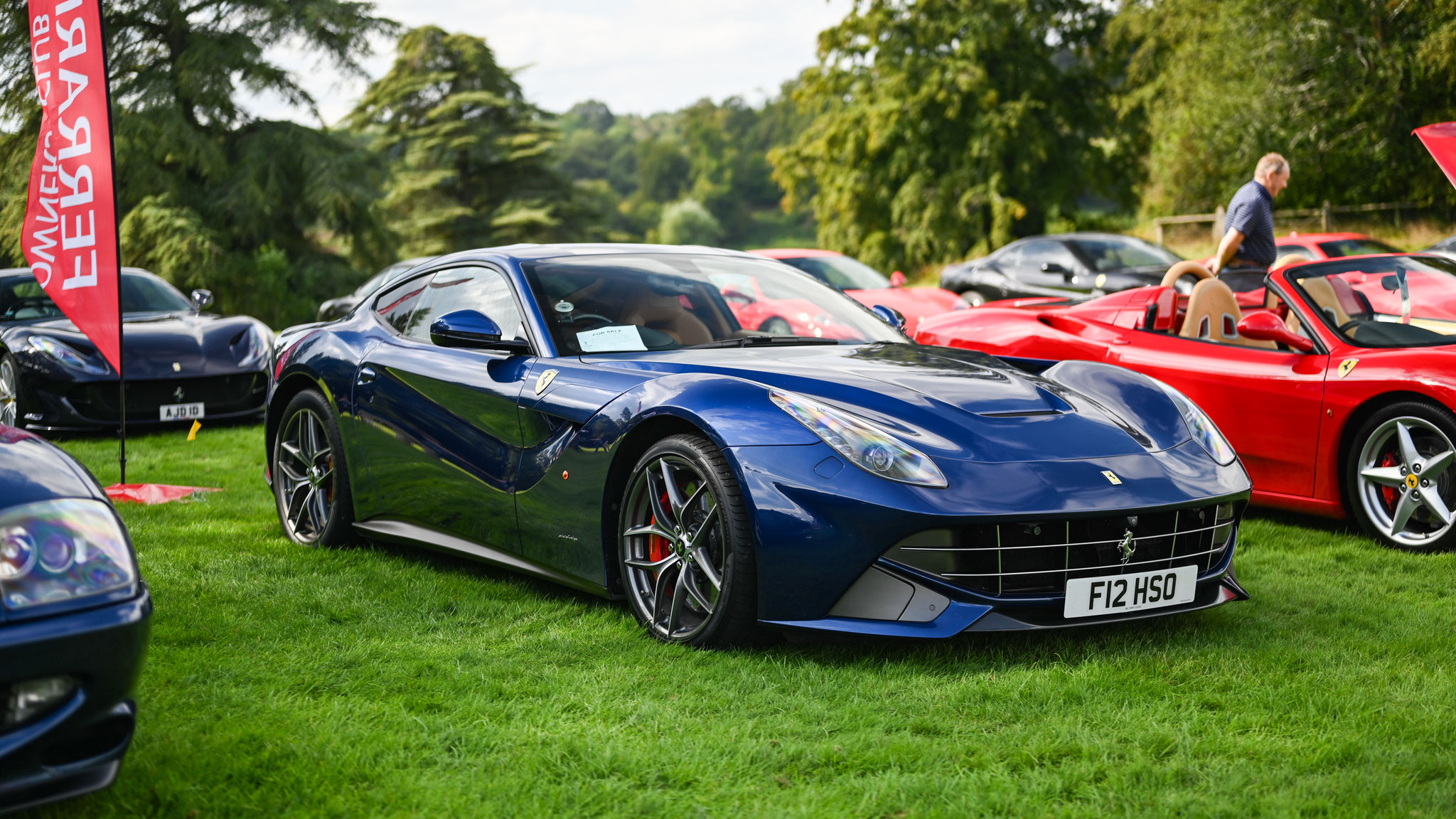 Ferrari F12 Berlinetta - F12HSO (GB)