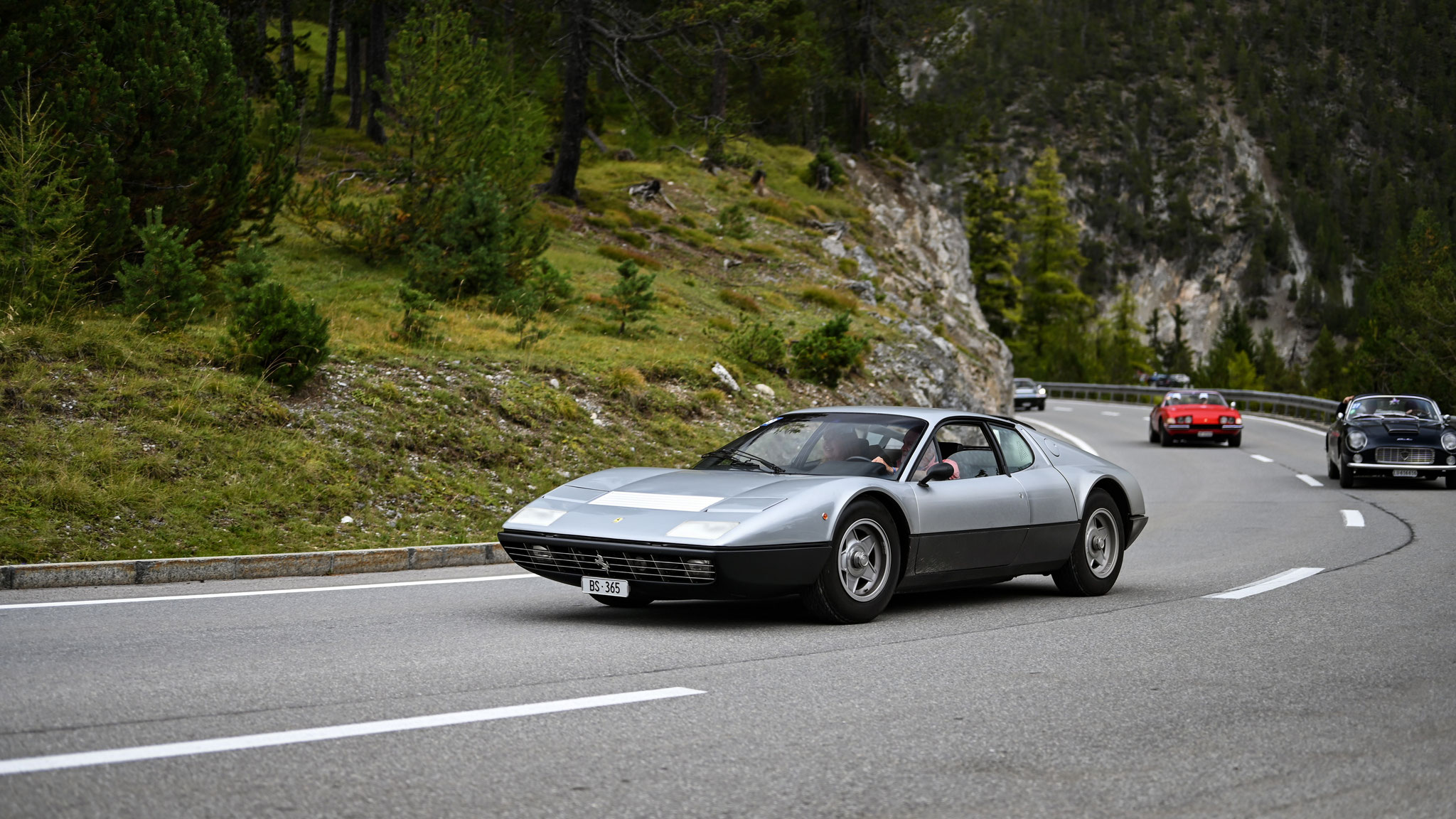 Ferrari 365 BB - BS365 (CH)