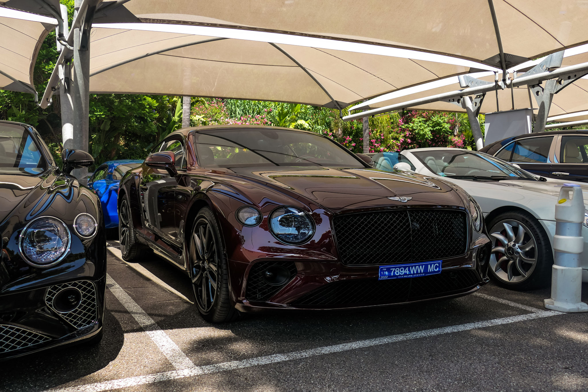Bentley Continental GT - 7894WWMC (MC)
