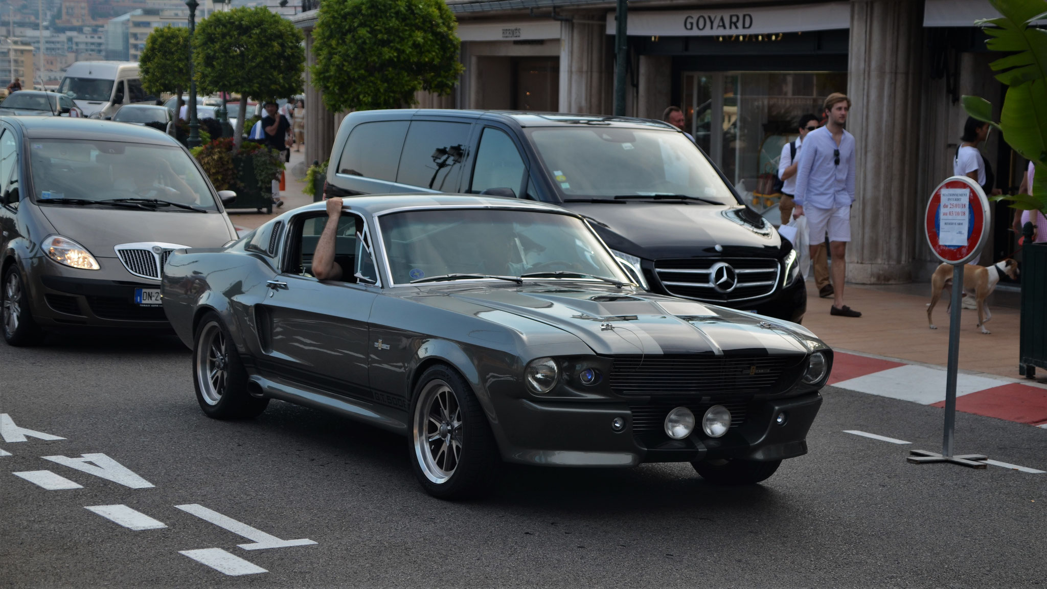 Mustang Shelby G.T. 500