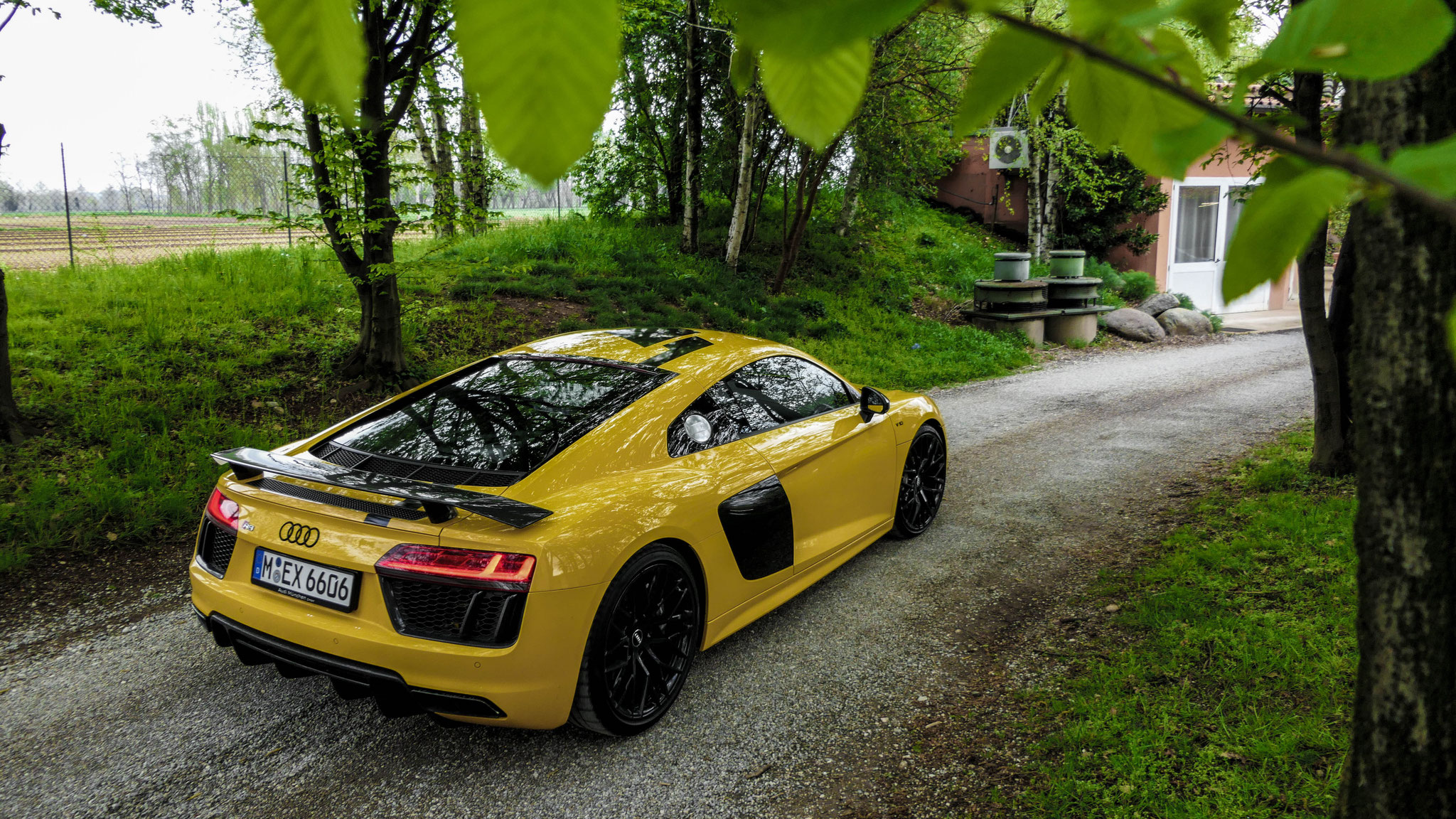 Audi R8 V10 RWD - M-EX6606