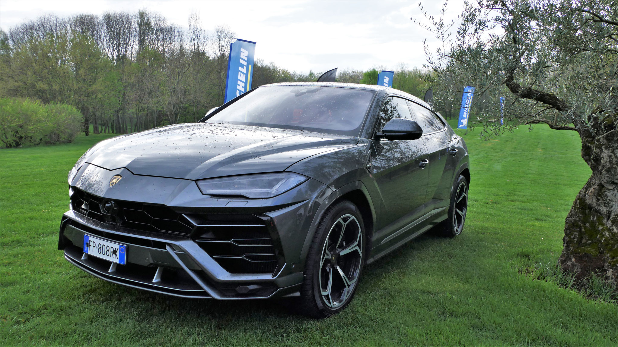 Lamborghini Urus - FR808RK (ITA)