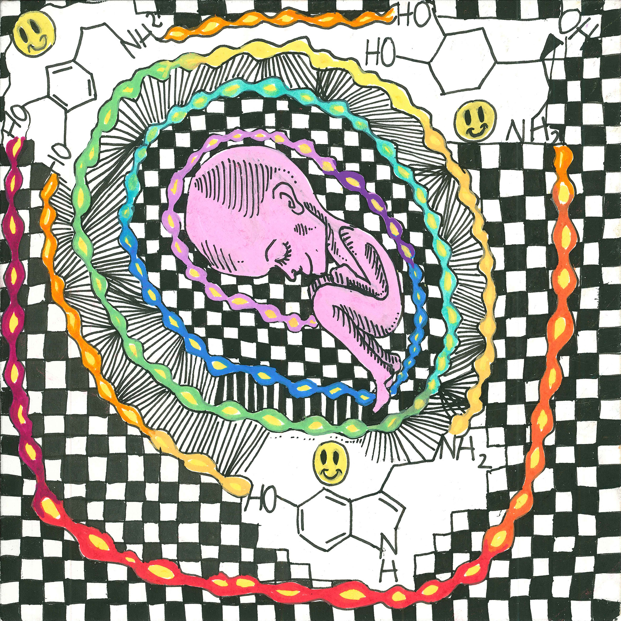 genesis - Fineliner on Paper - 30x30