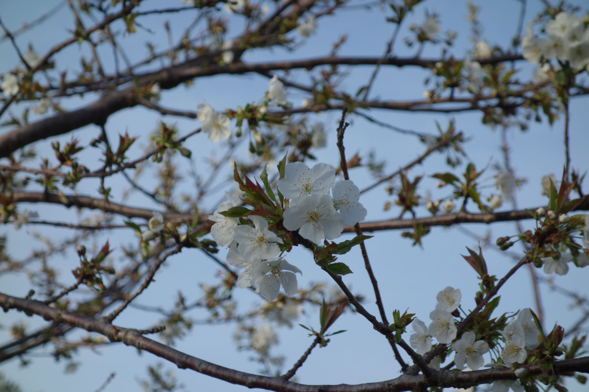 Der Frühling war auch schon da!