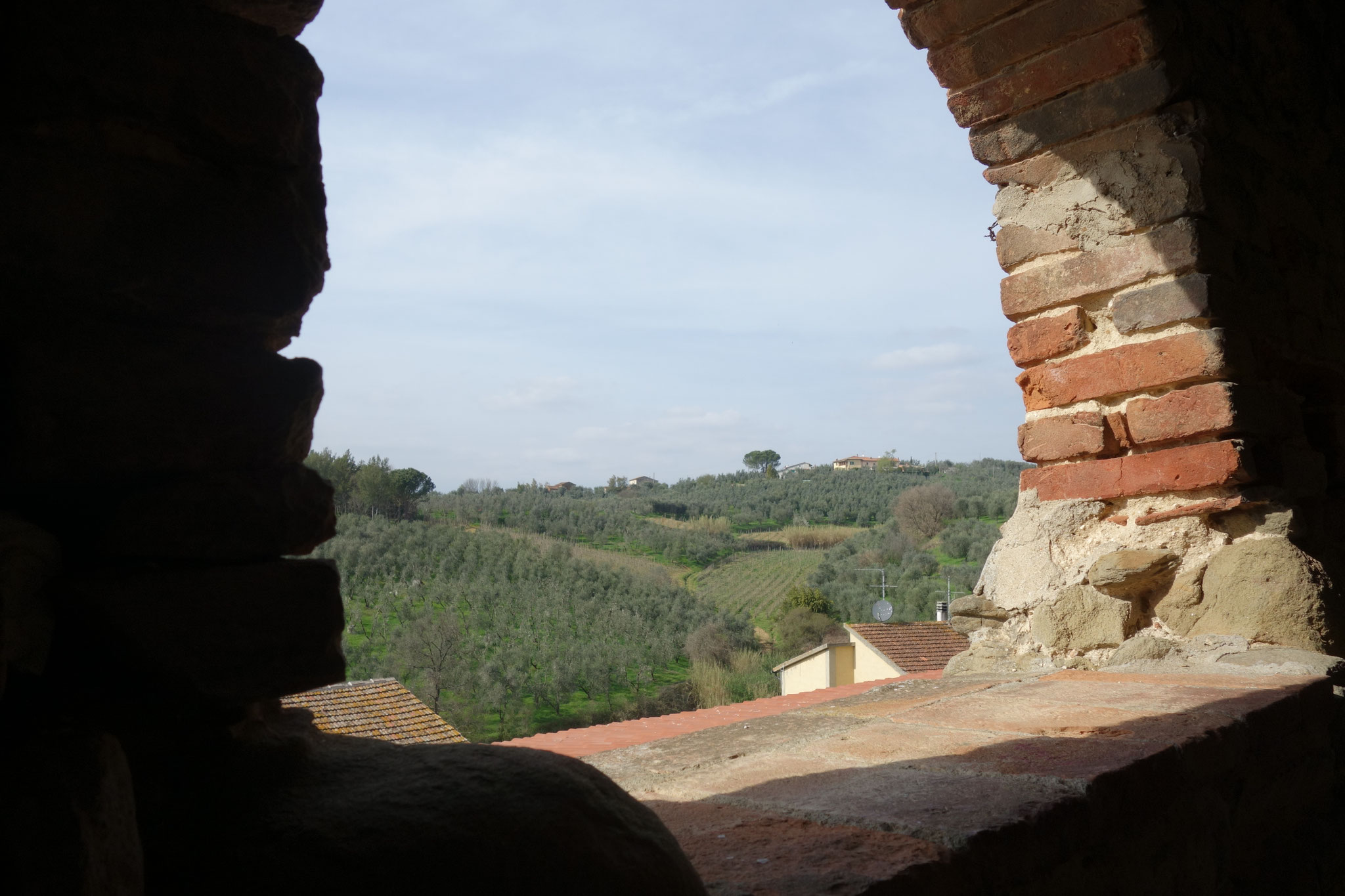 Fensterblick