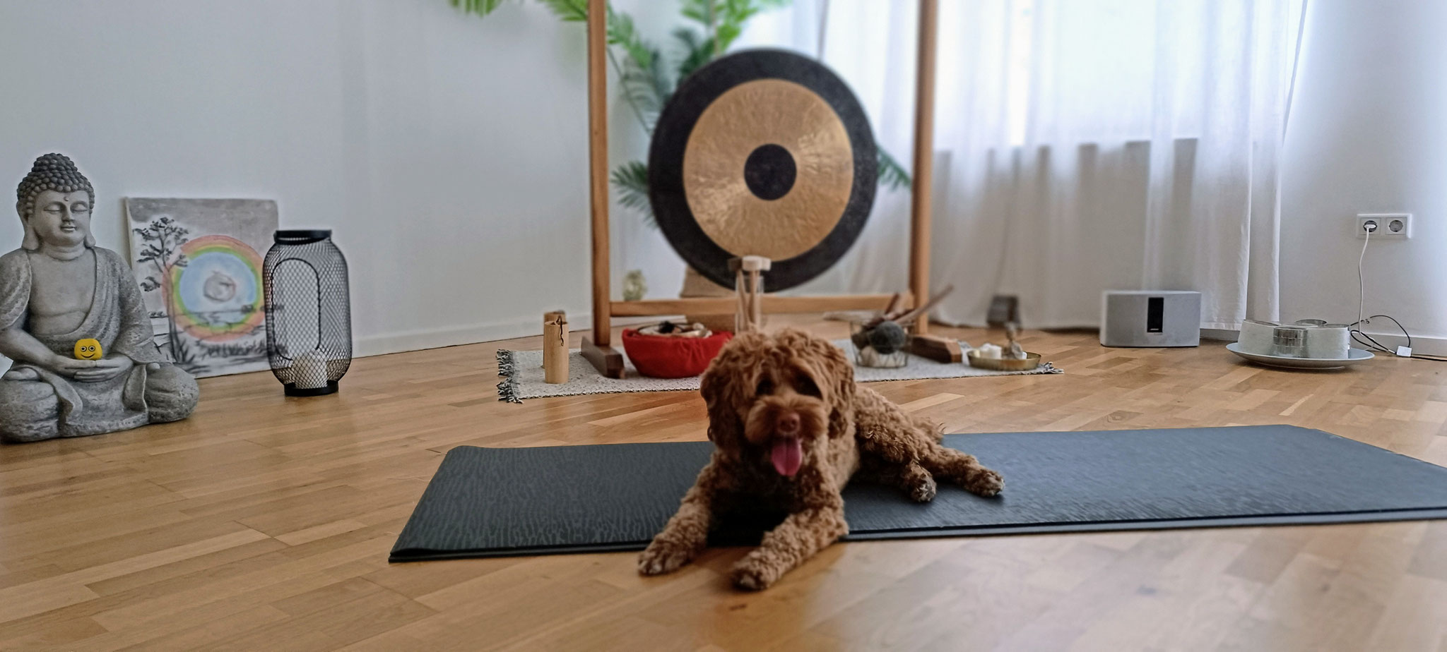 Unser Yoga-Hund
