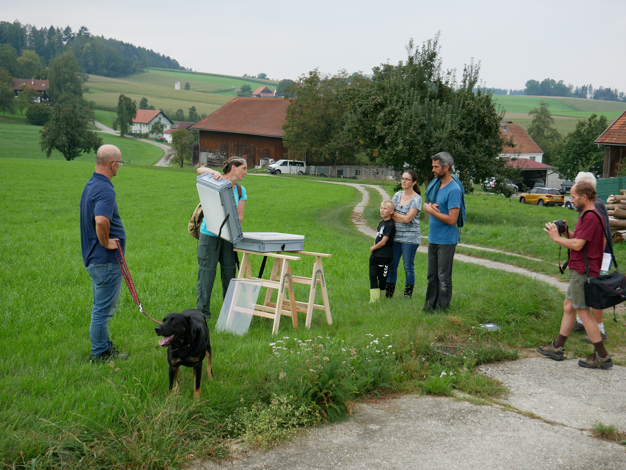 Erster Check auf einer 5-mähdigen Wiese