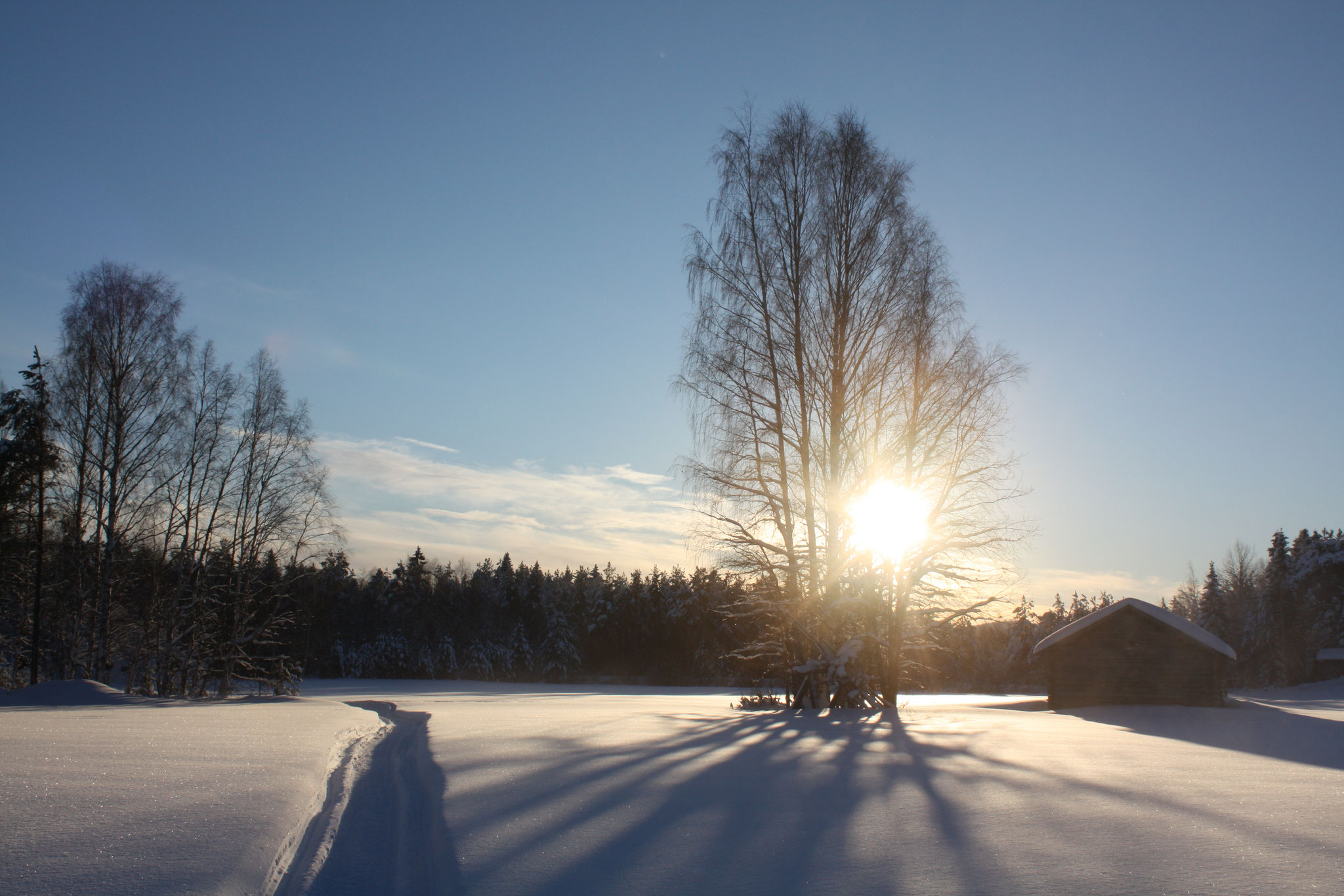 Sonne...Sonne...Sonne