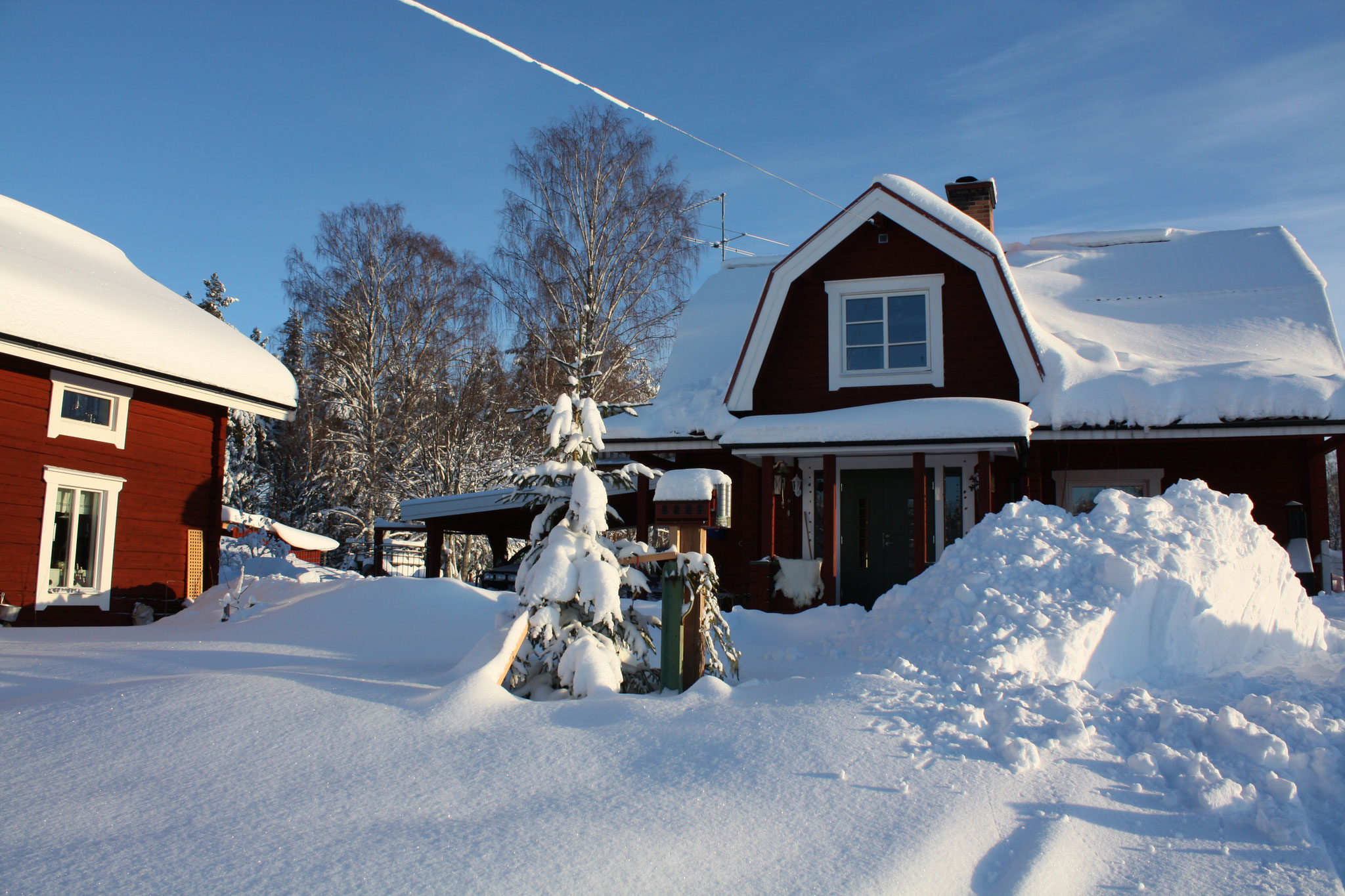 Skogsfeen - Ansicht auf Haus und Ferienhaus