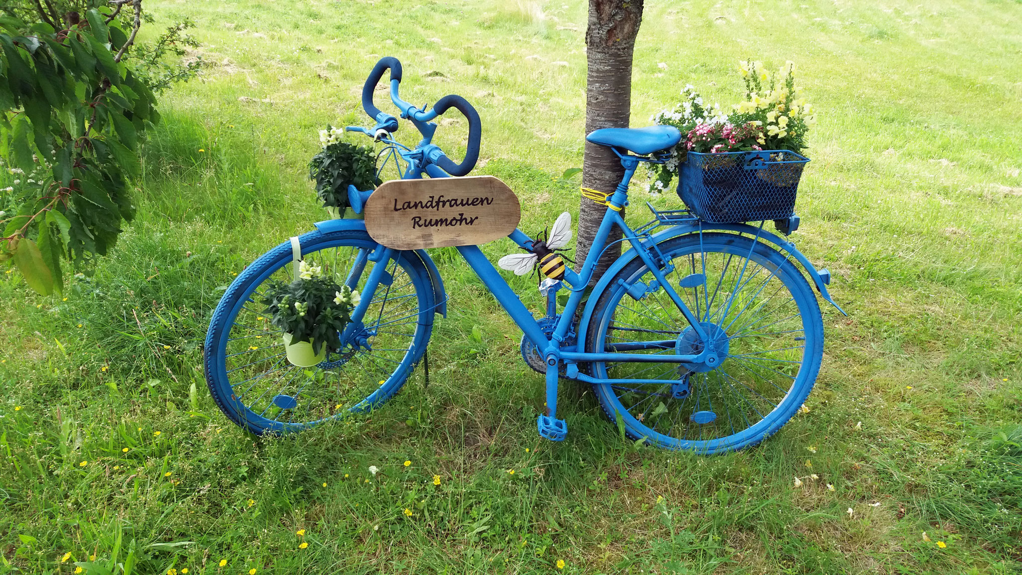 Rumohr, OT Rotenhahn