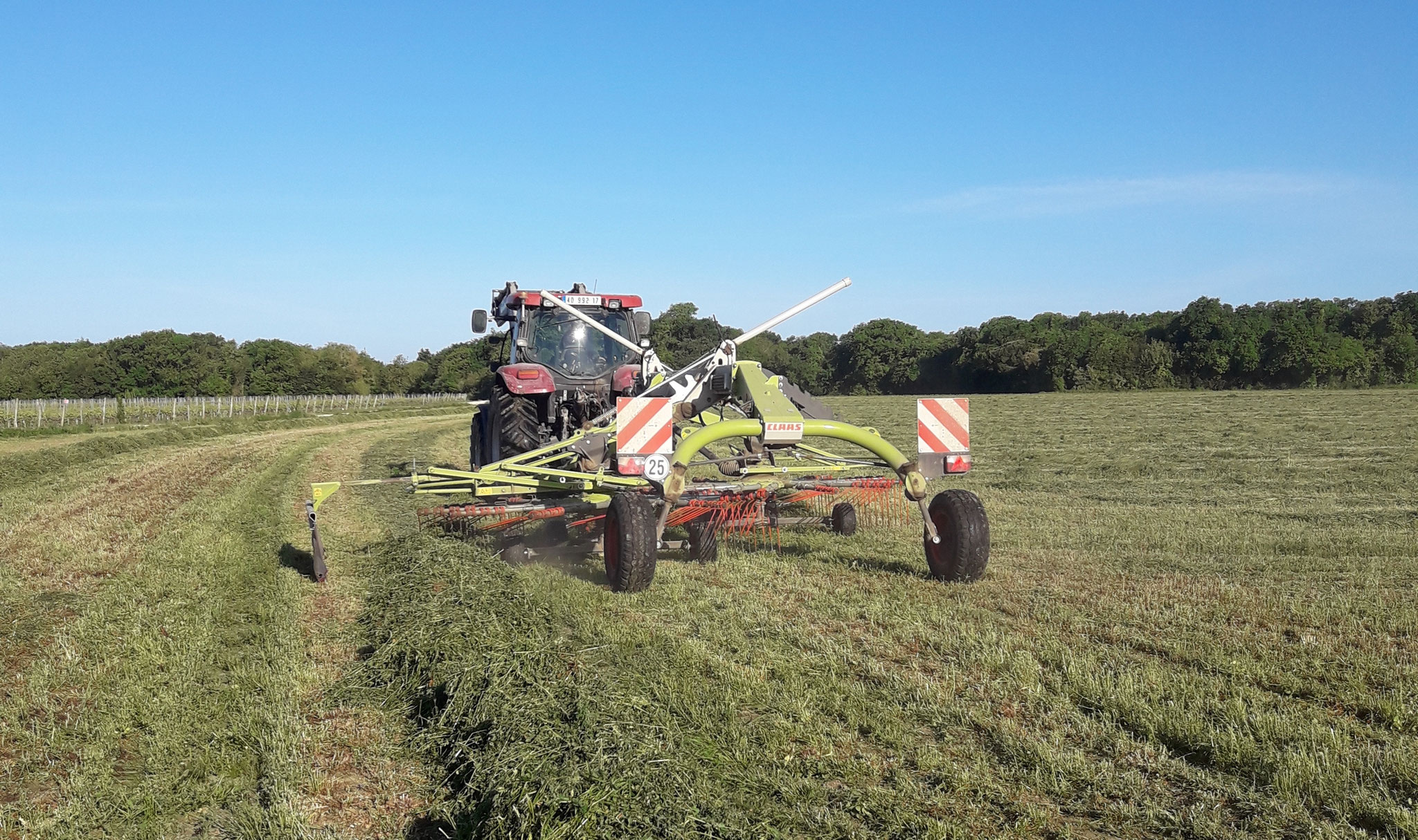 L'andainnage pour regrouper le fourrage