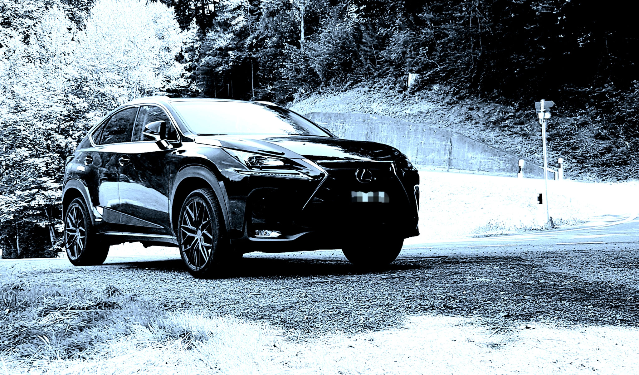 Lexus NX 300h